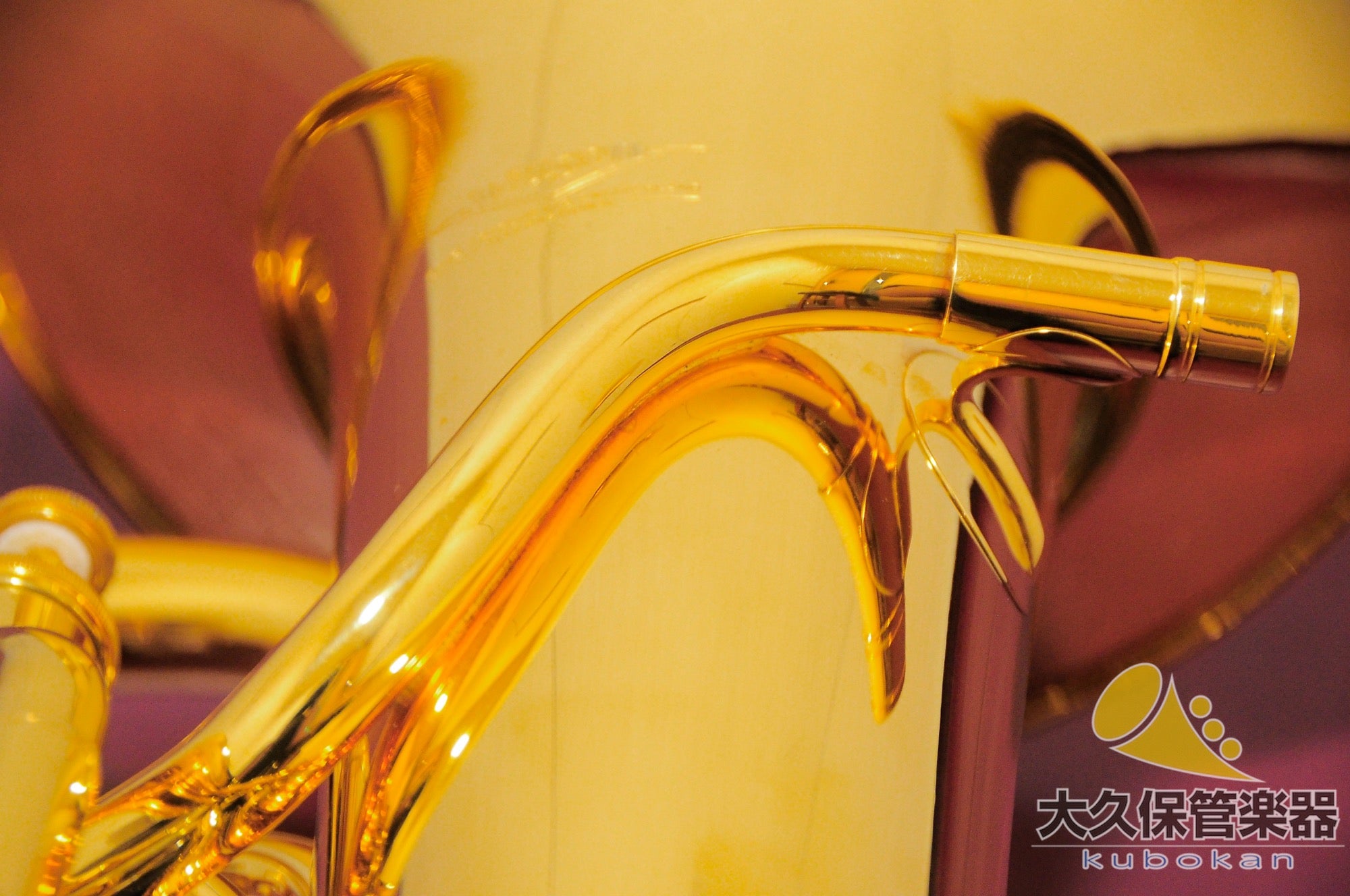 Wilson TA2900BS/GP Euphonium