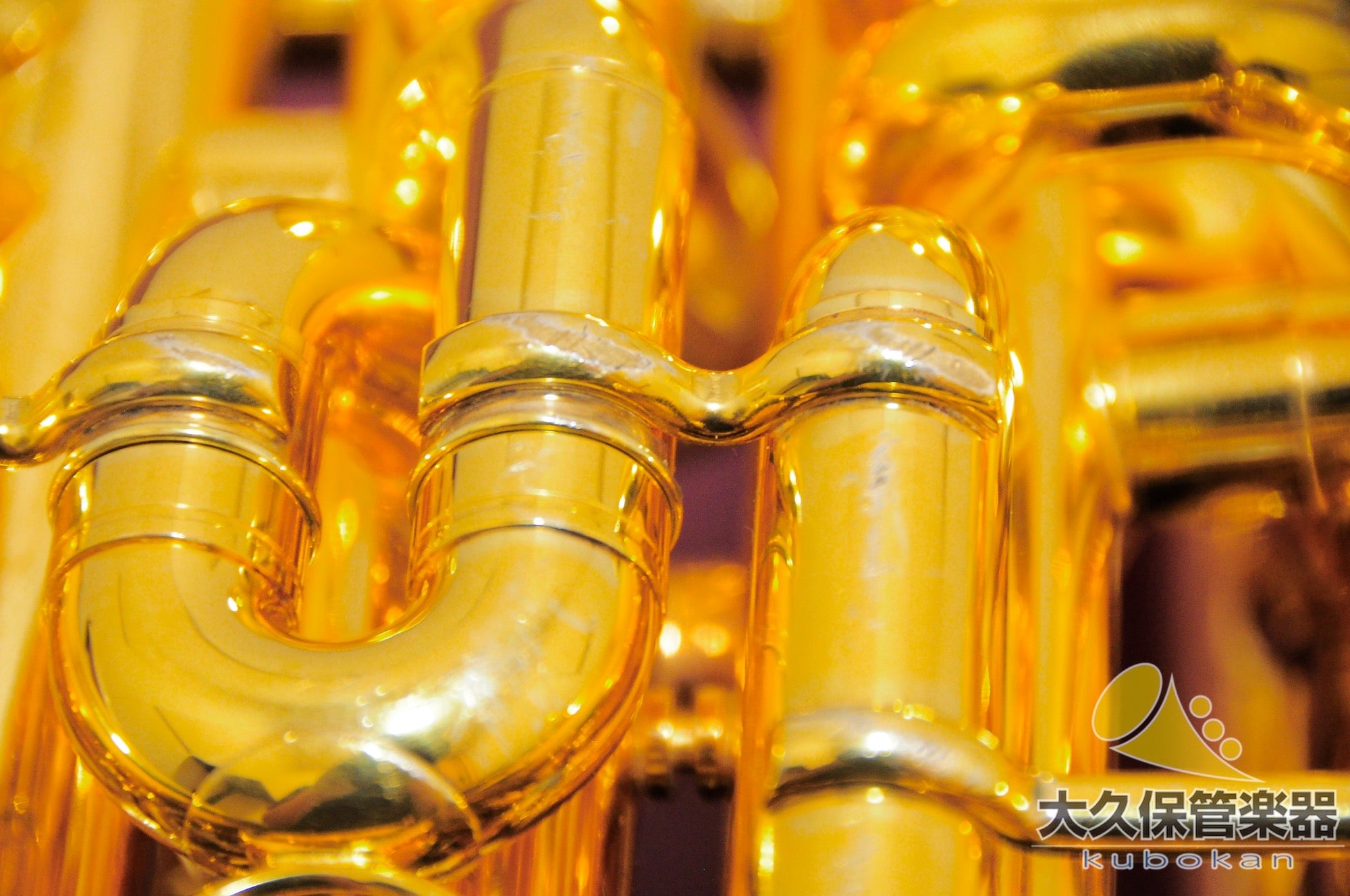Wilson TA2900BS/GP Euphonium