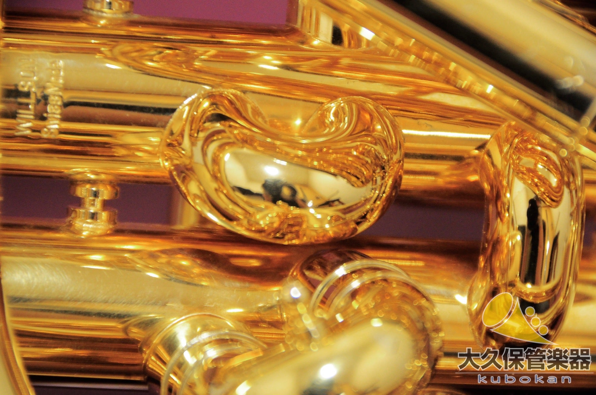 Wilson TA2900BS/GP Euphonium