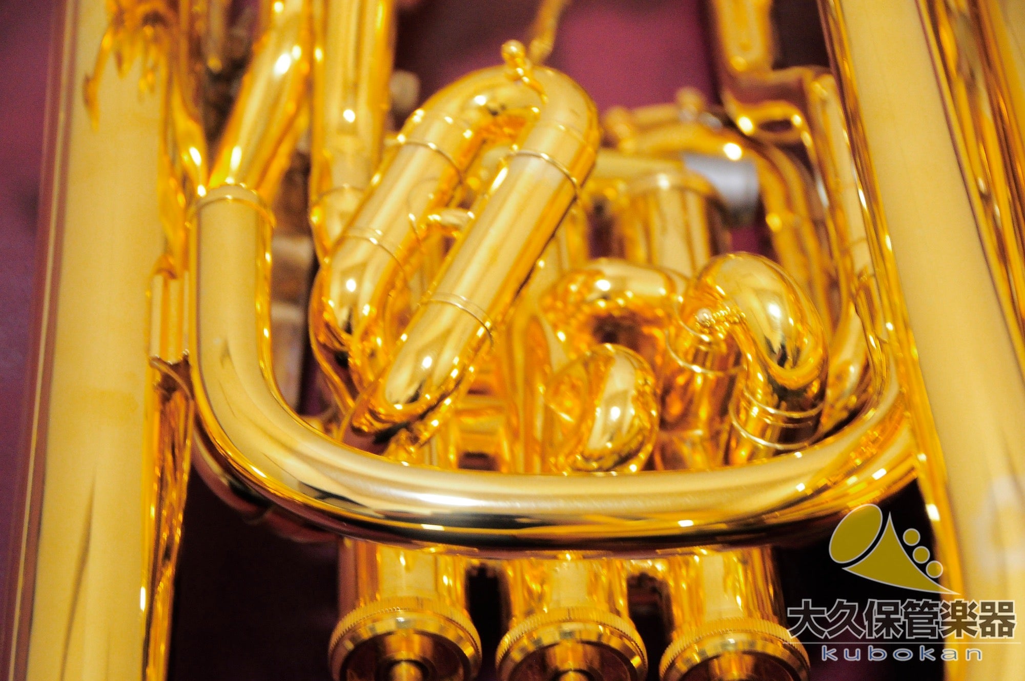 Wilson TA2900BS/GP Euphonium