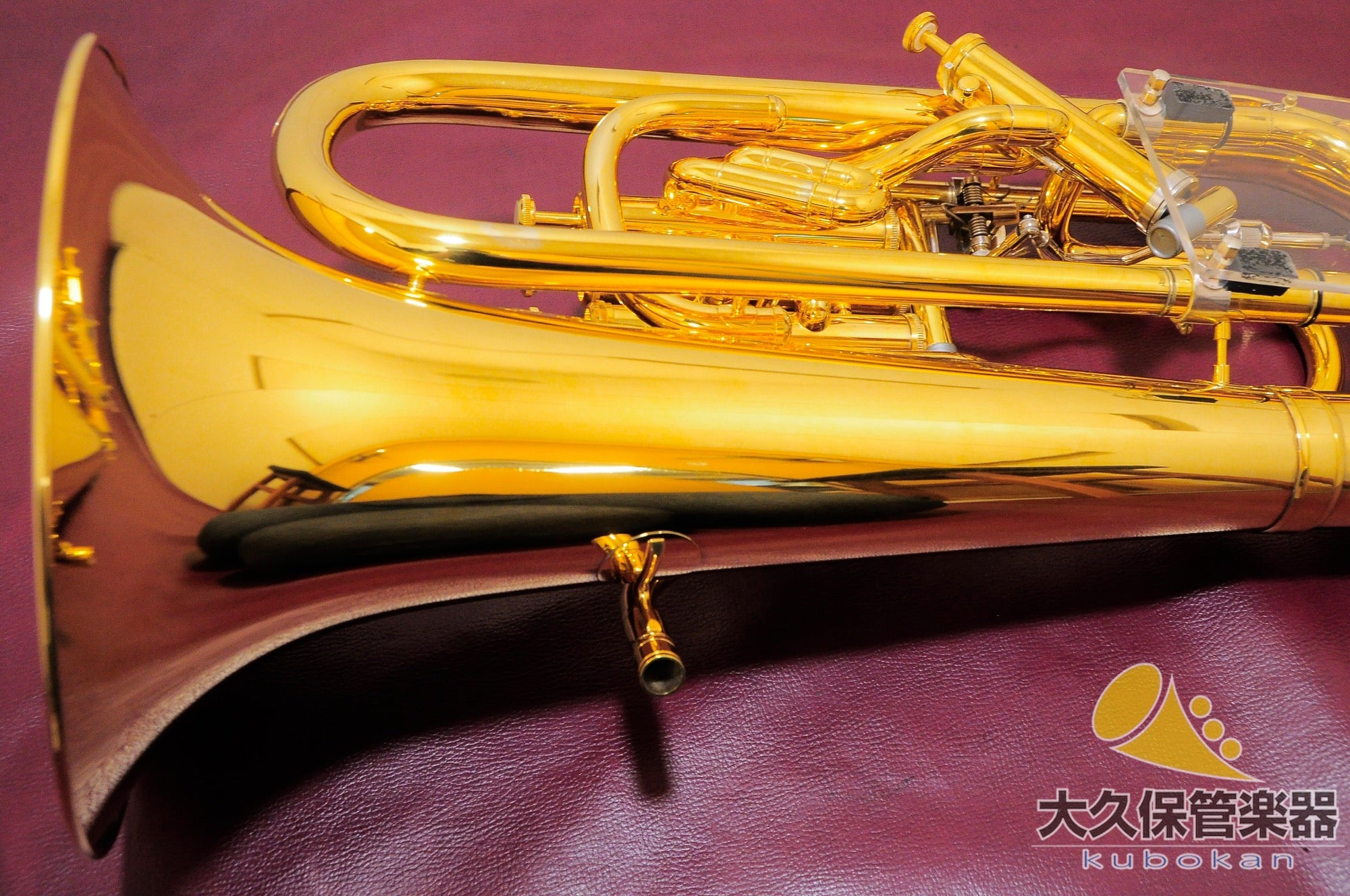 Wilson TA2900BS/GP Euphonium