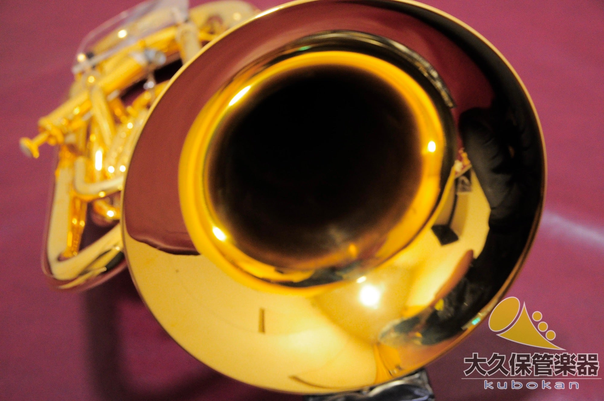 Wilson TA2900BS/GP Euphonium