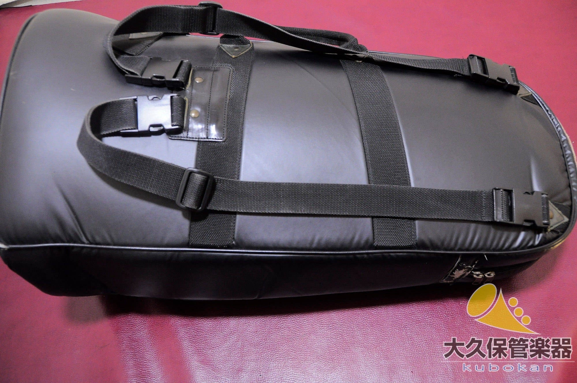 Wilson TA2900BS/GP Euphonium