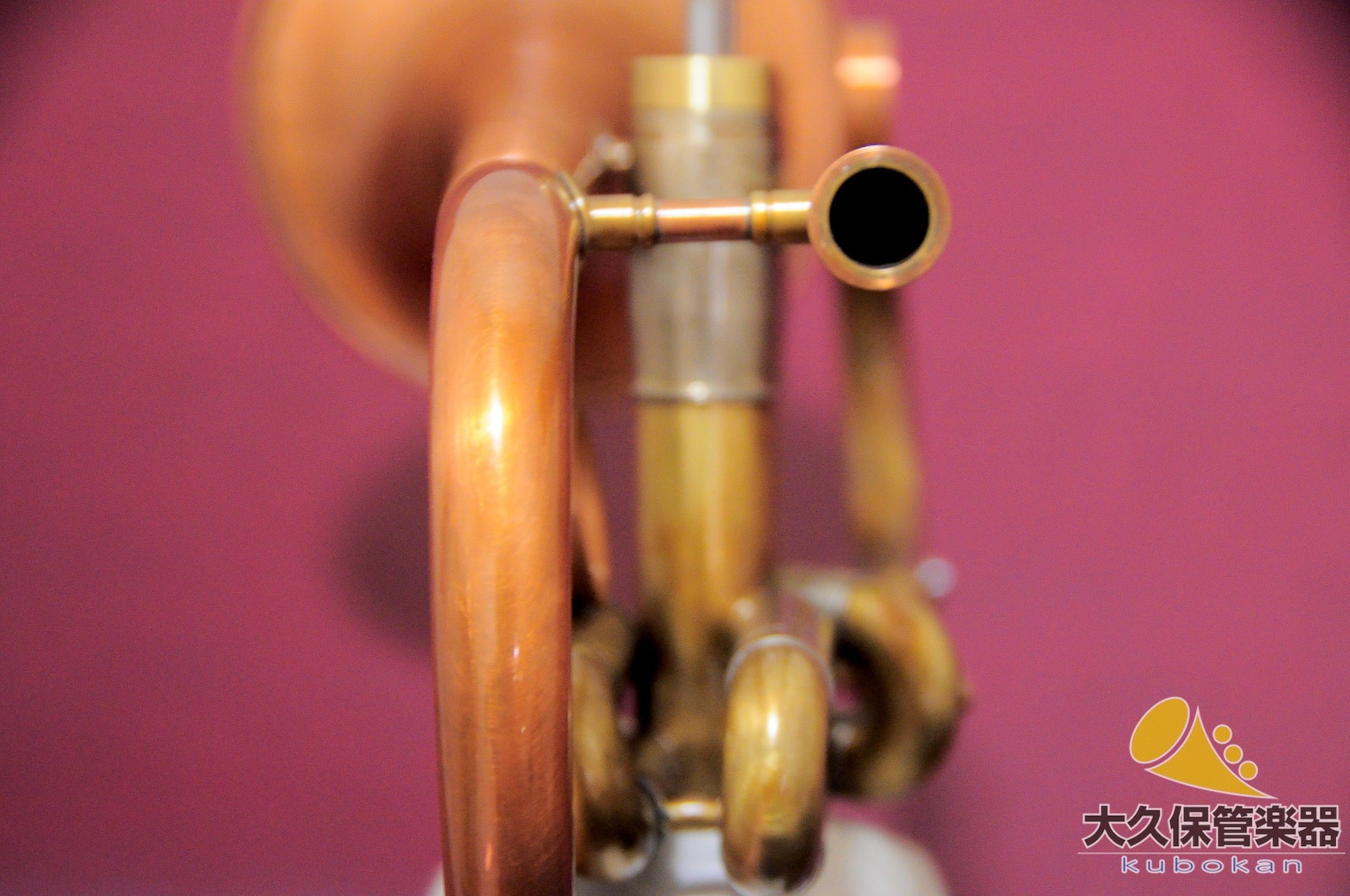 Le PUJÉ SHORTY B♭trompette