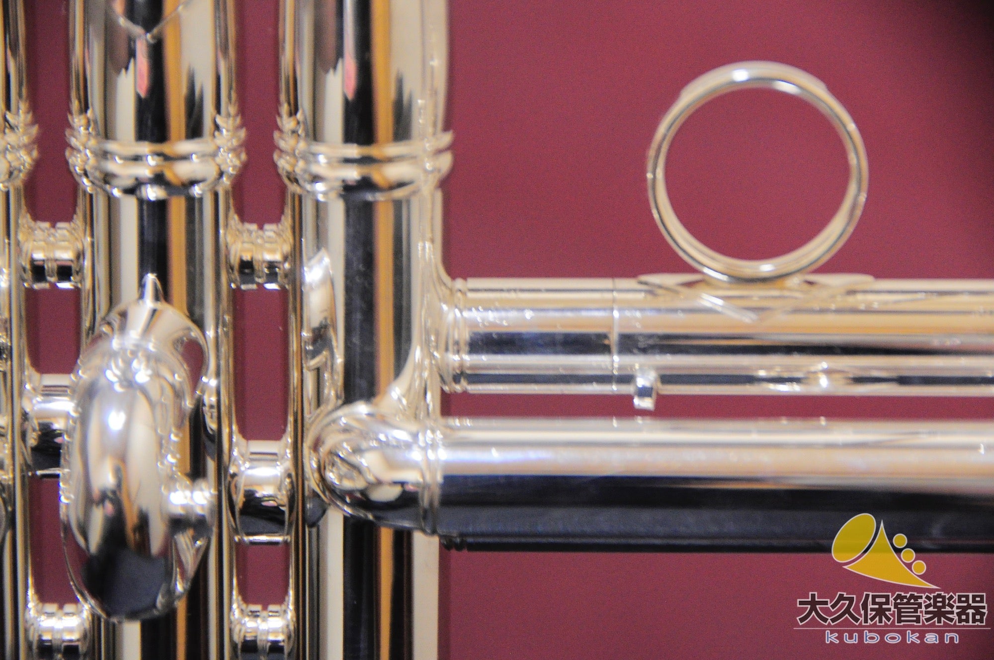 Vincent Bach C180L239/25C GBSP  Trompeta con tubo en Do