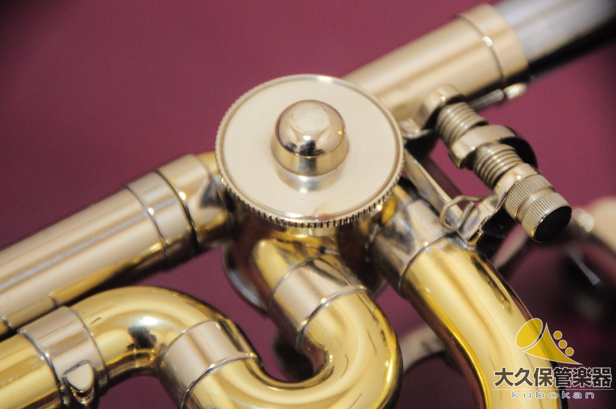 泰恩 ALTO TROMBONE in F w/ C Rotary Valve 中音长号