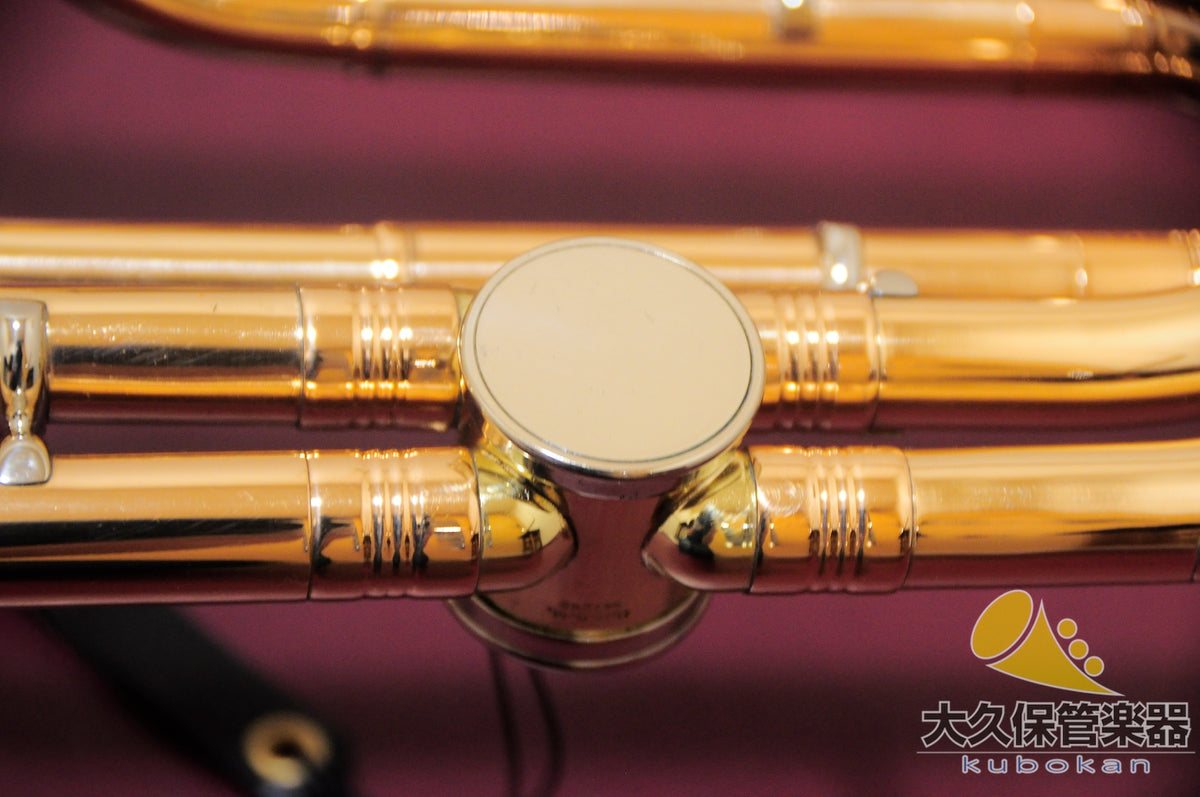 Robert Schopper  Tenorbassposaune  Tenor-Bassposaune