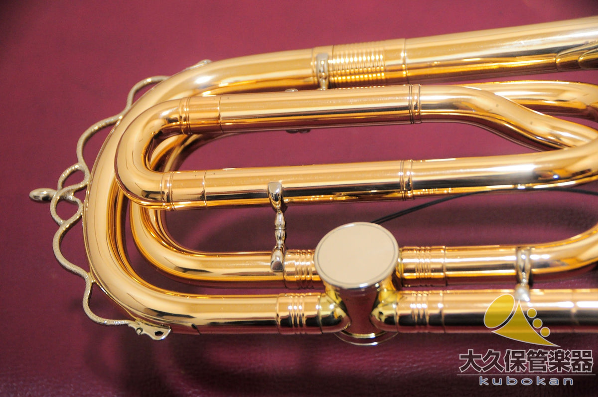 Robert Schopper  Tenorbassposaune  Tenor-Bassposaune