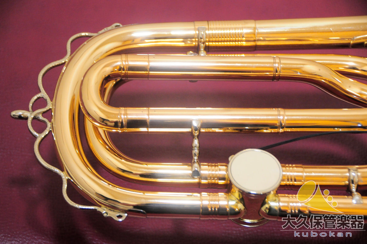 Robert Schopper  Tenorbassposaune  Tenor-Bassposaune
