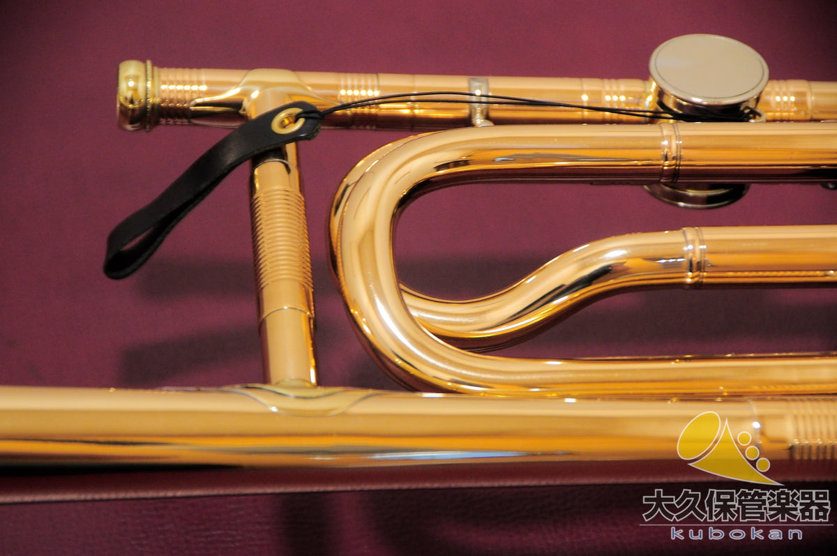 Robert Schopper  Tenorbassposaune  Tenor-Bassposaune
