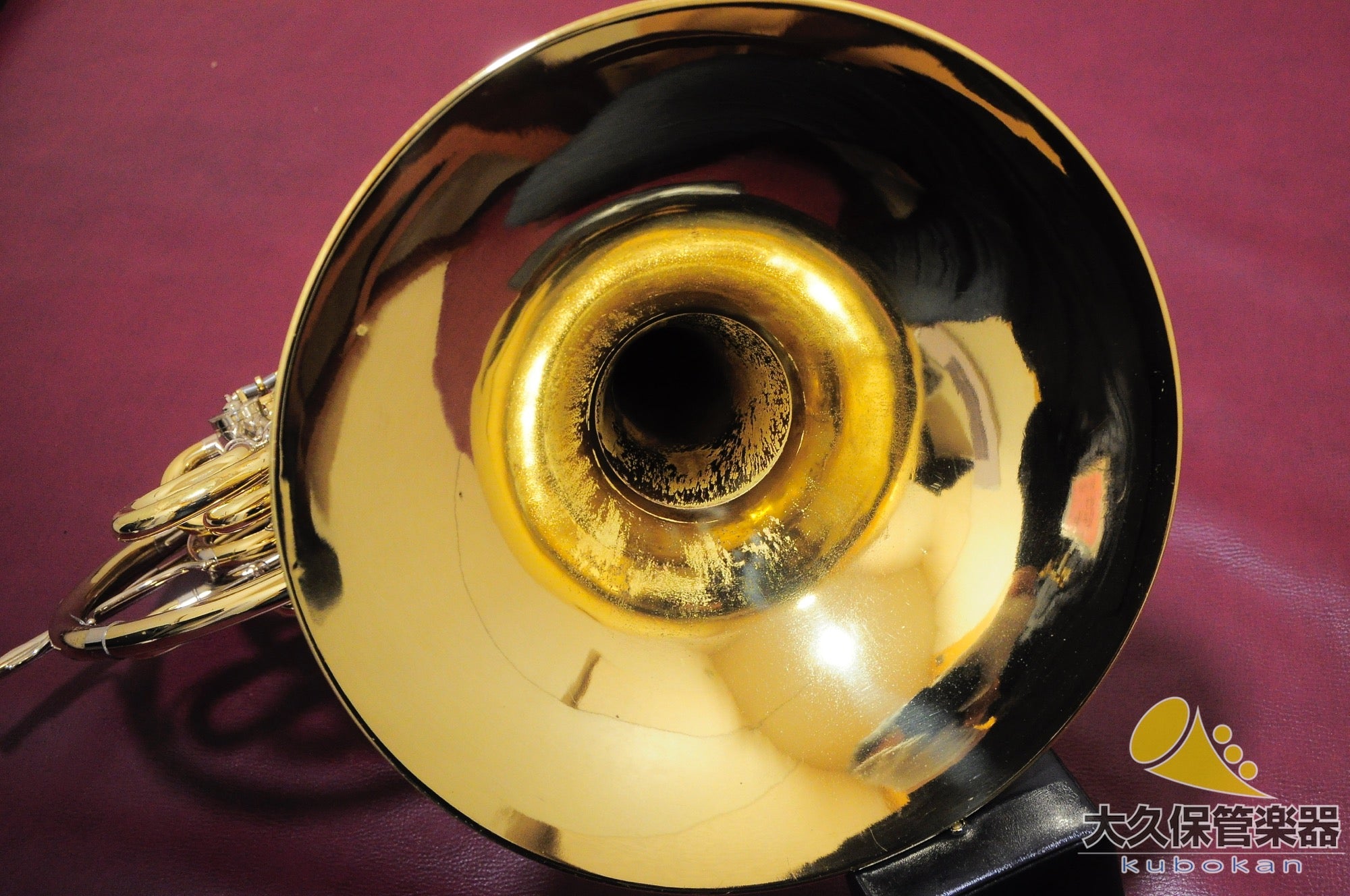 Paxman MODEL20MYDC Double corne complète