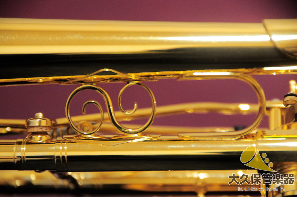 Singer-Serie：Singer-Serie（奧地利）限量版 GP B♭旋轉小號 [大久保樂器店有售]