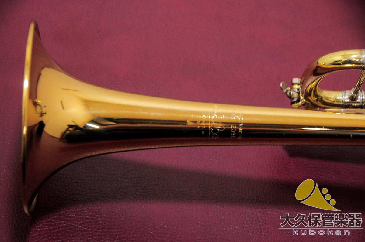 Vincent Buck C180L239GB/43   C-Rohr-Trompete 