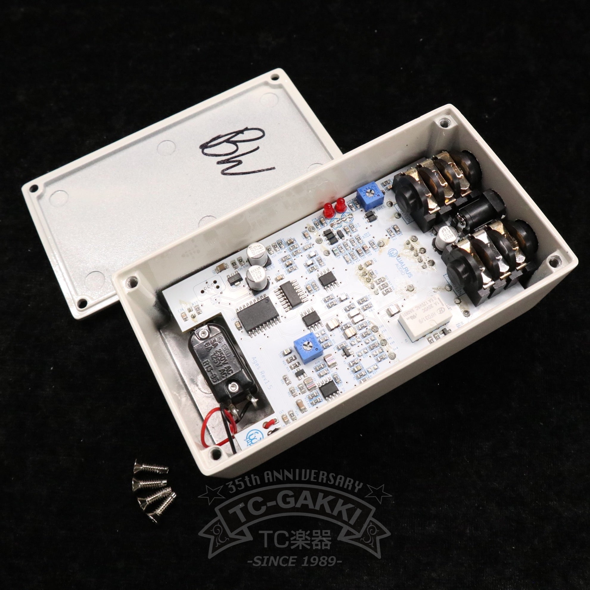 WALRUS AUDIO AGES BADLANDS “National Park SERIES”