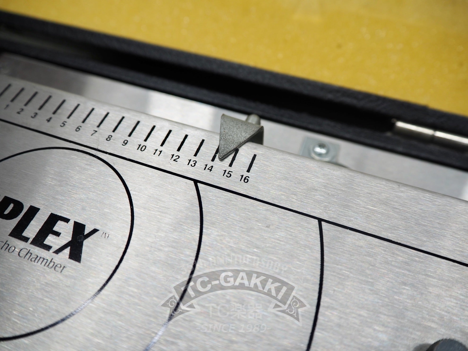 THE PLEX TP100 Tube Echo Chamber