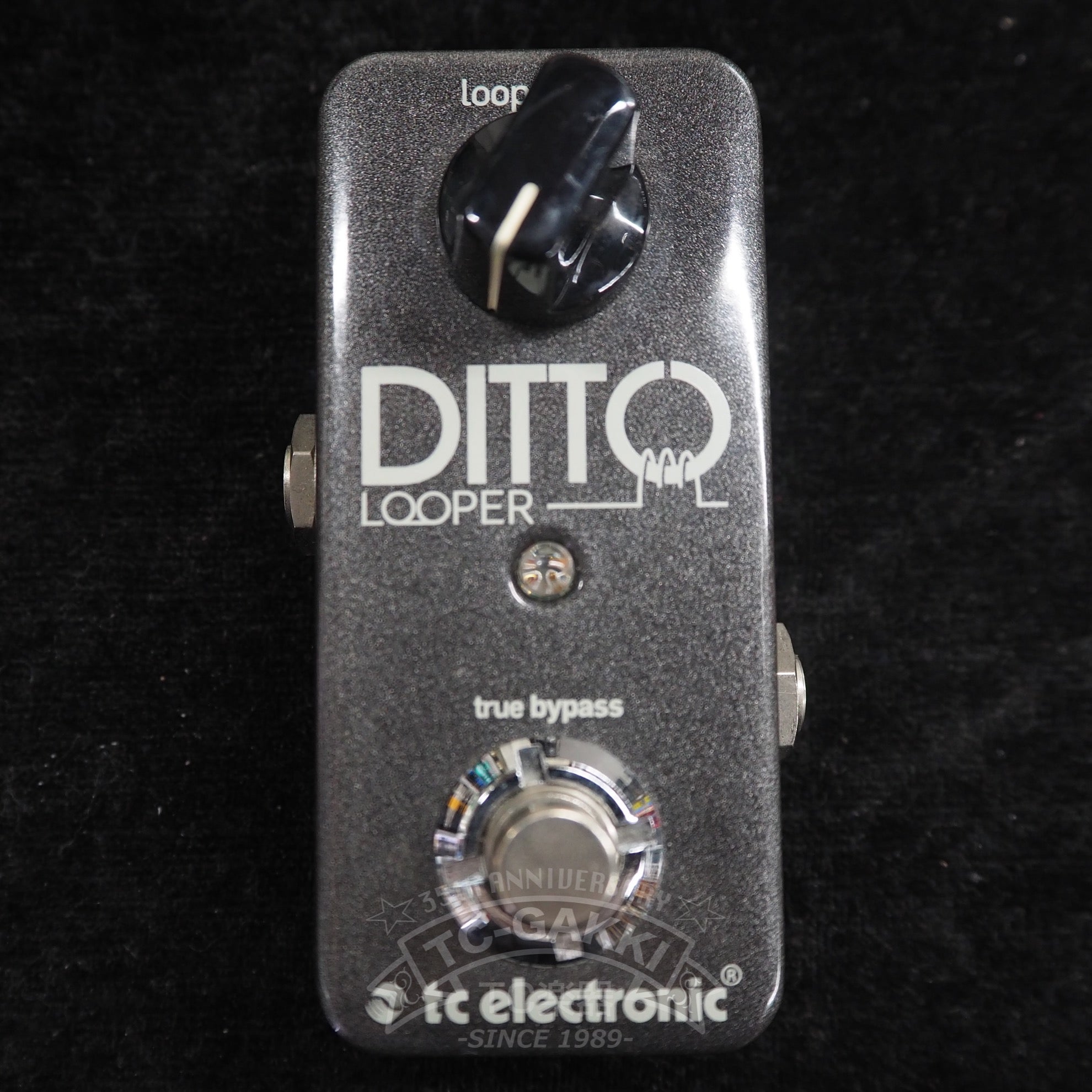 t.c. electronic DITTO LOOPER