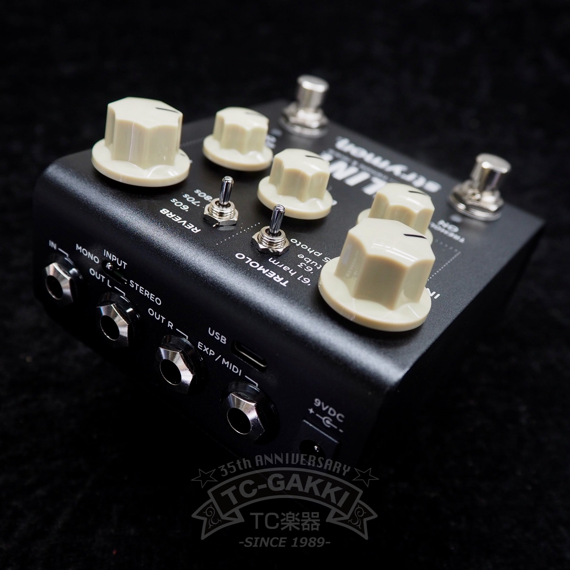 strymon FLINT tremolo & reverb V2