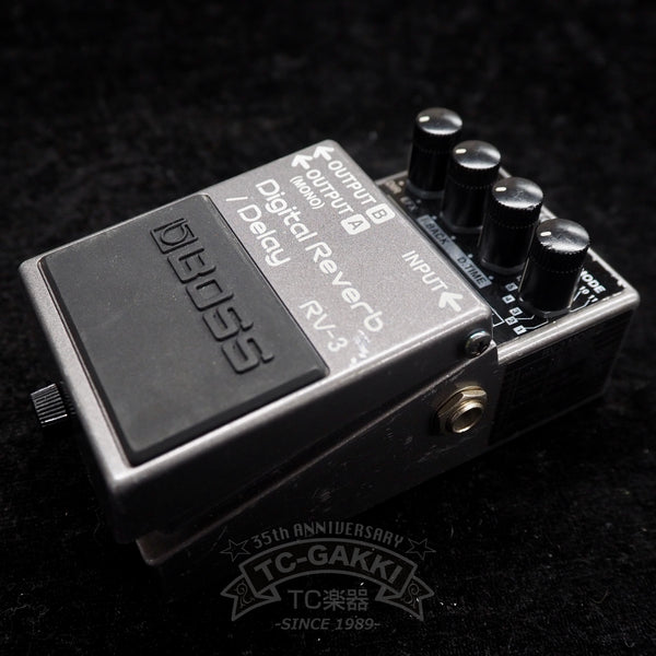 BOSS RV-3 Digital Reverb/Delay