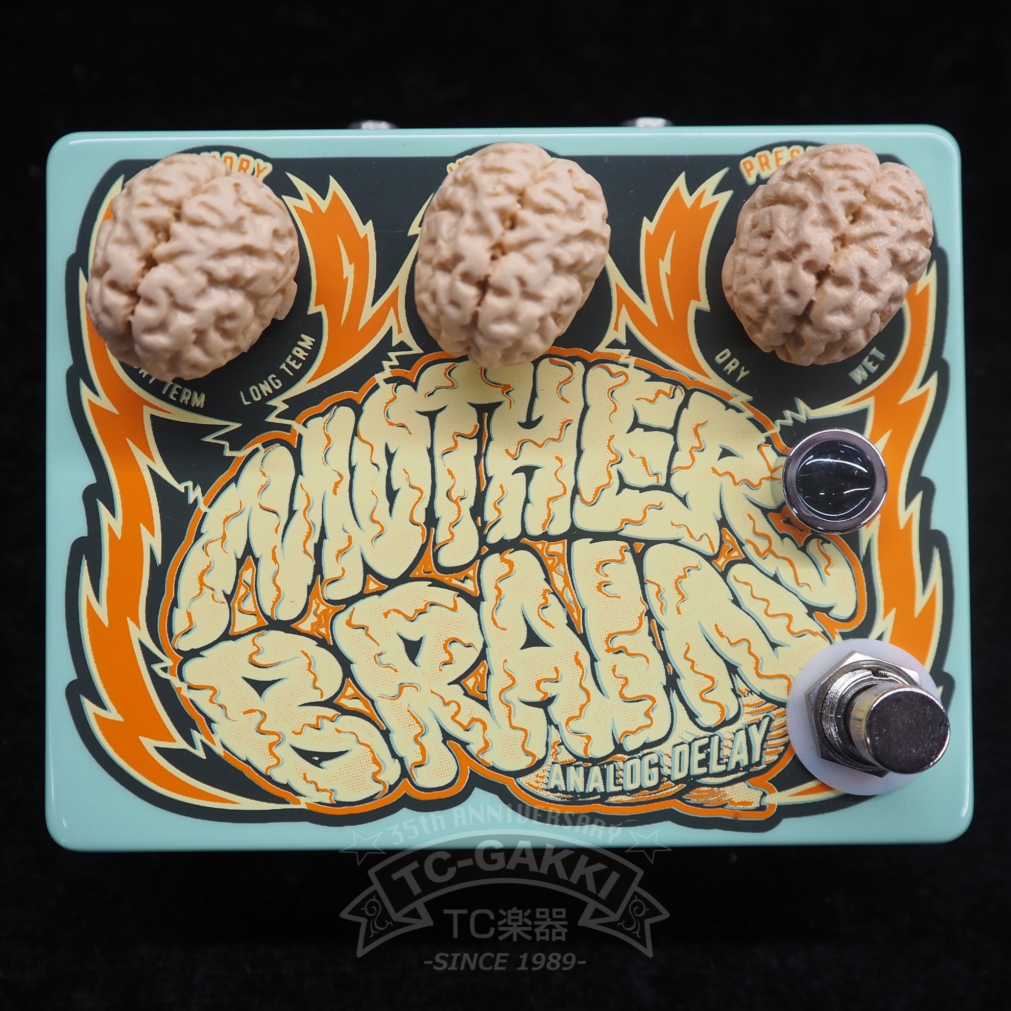DR.NO Effects MOTHER BRAIN ANALOG DELAY