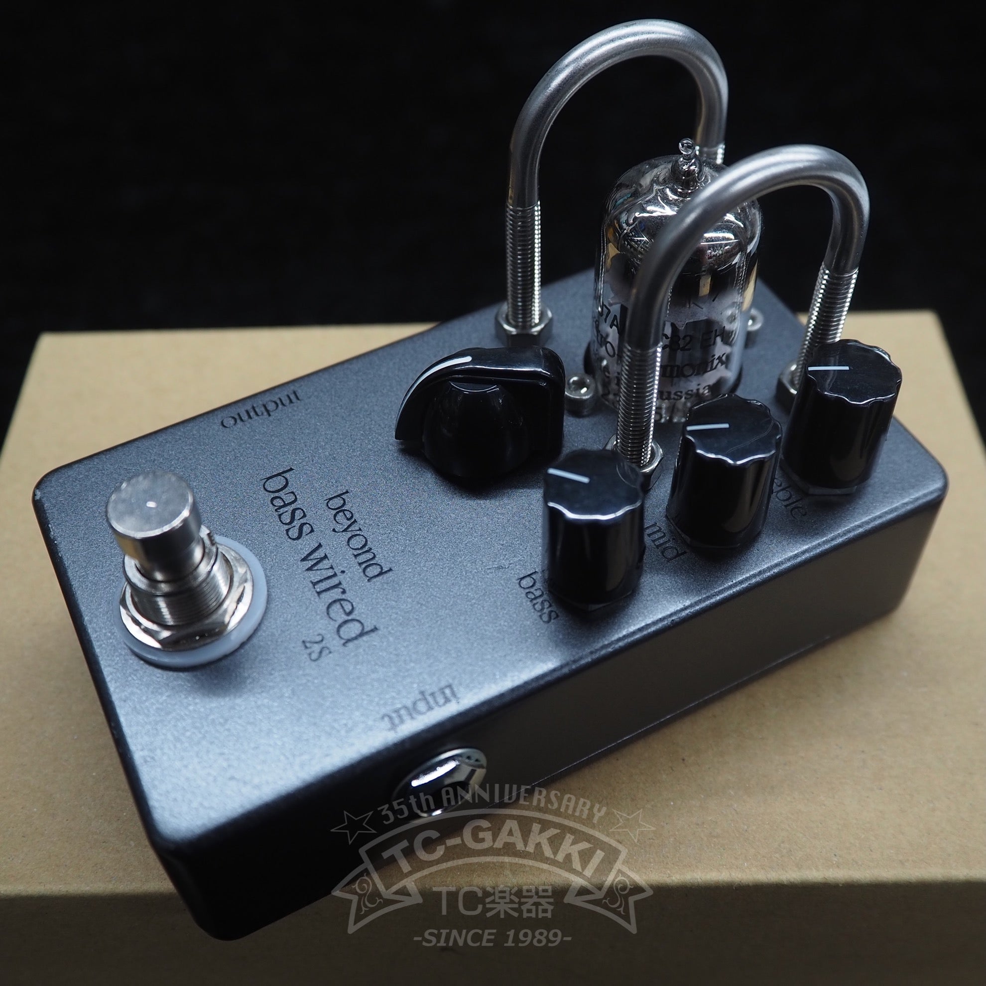 Beyond Bass Wired 2S