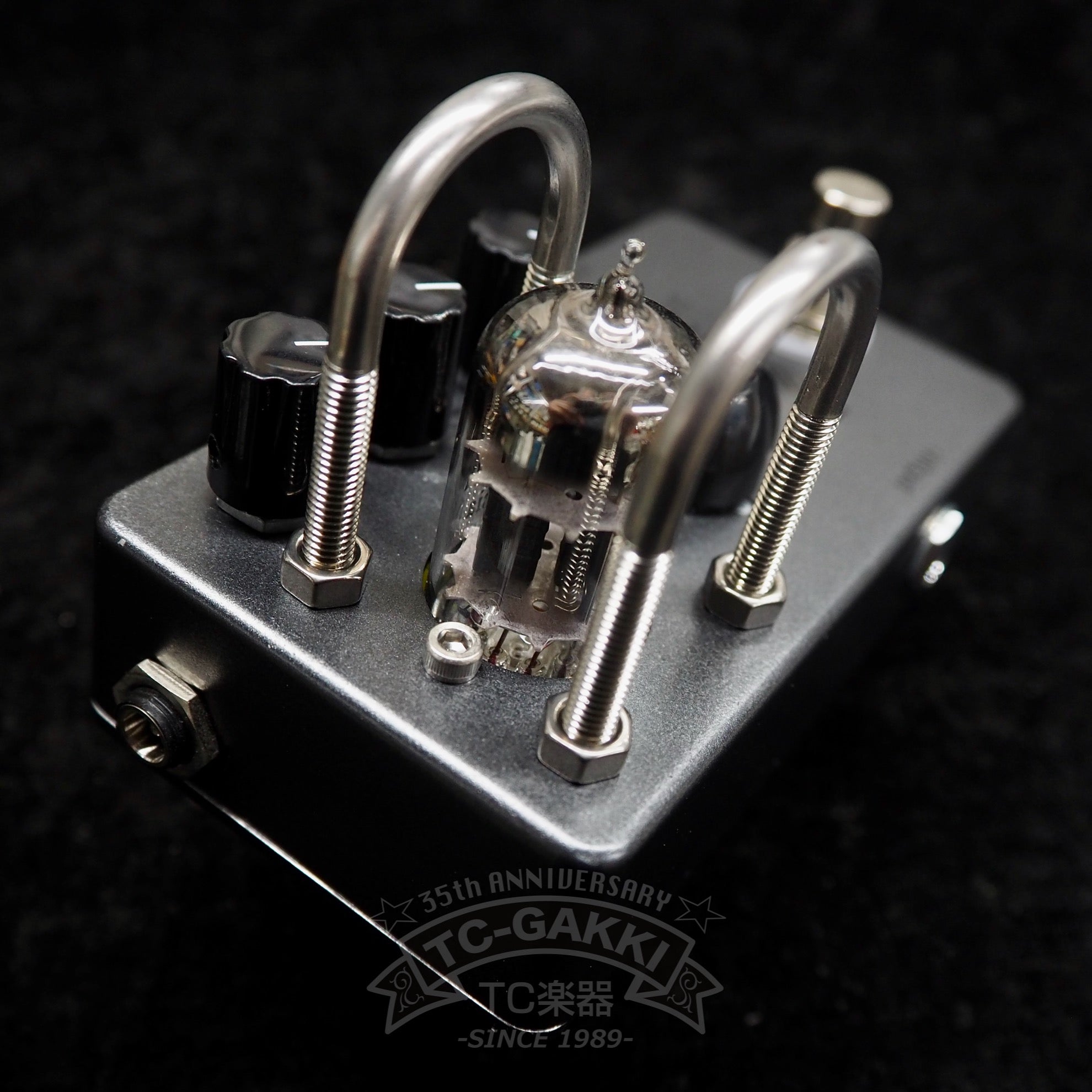 Beyond Bass Wired 2S