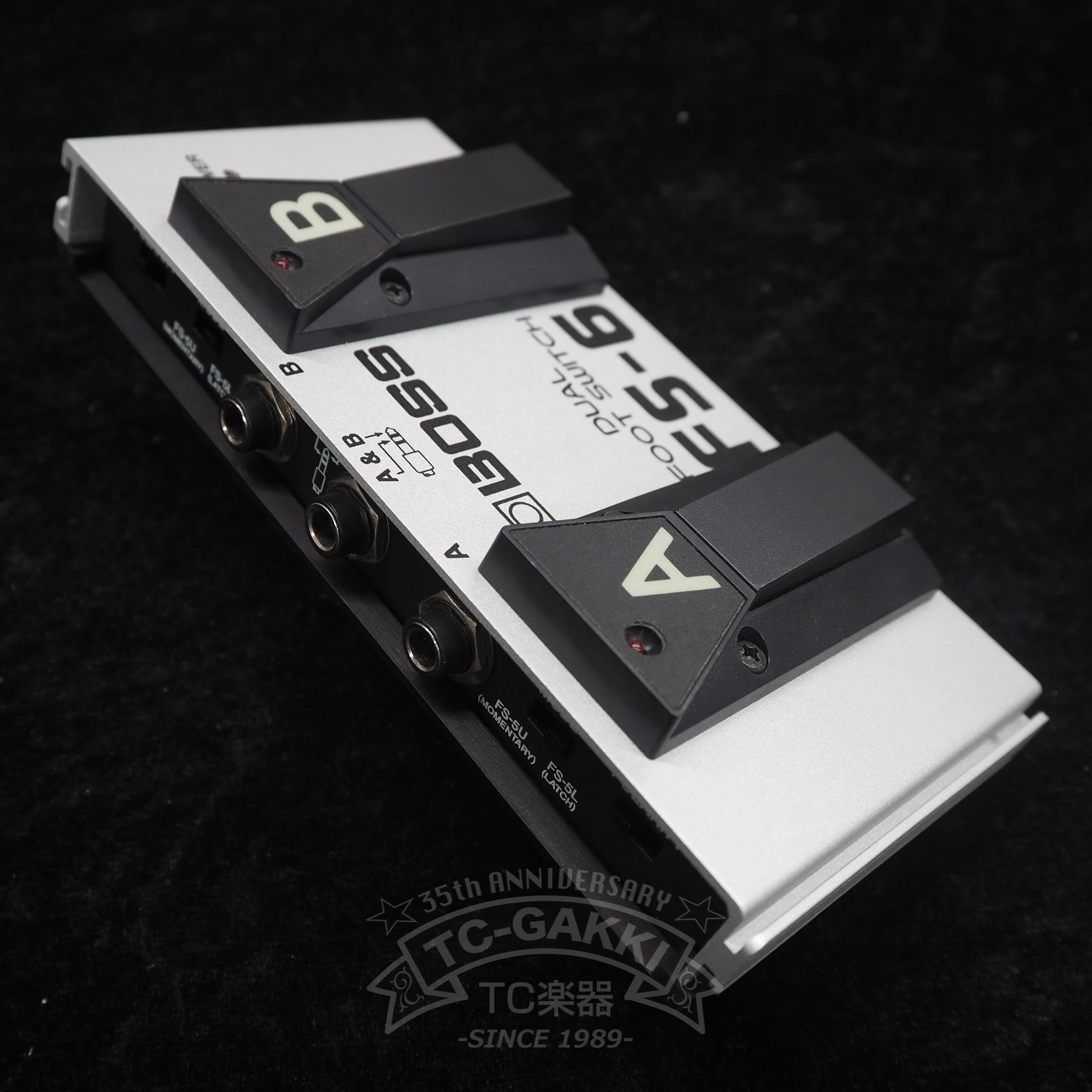 BOSS FS-6 DUAL FOOT SWITCH