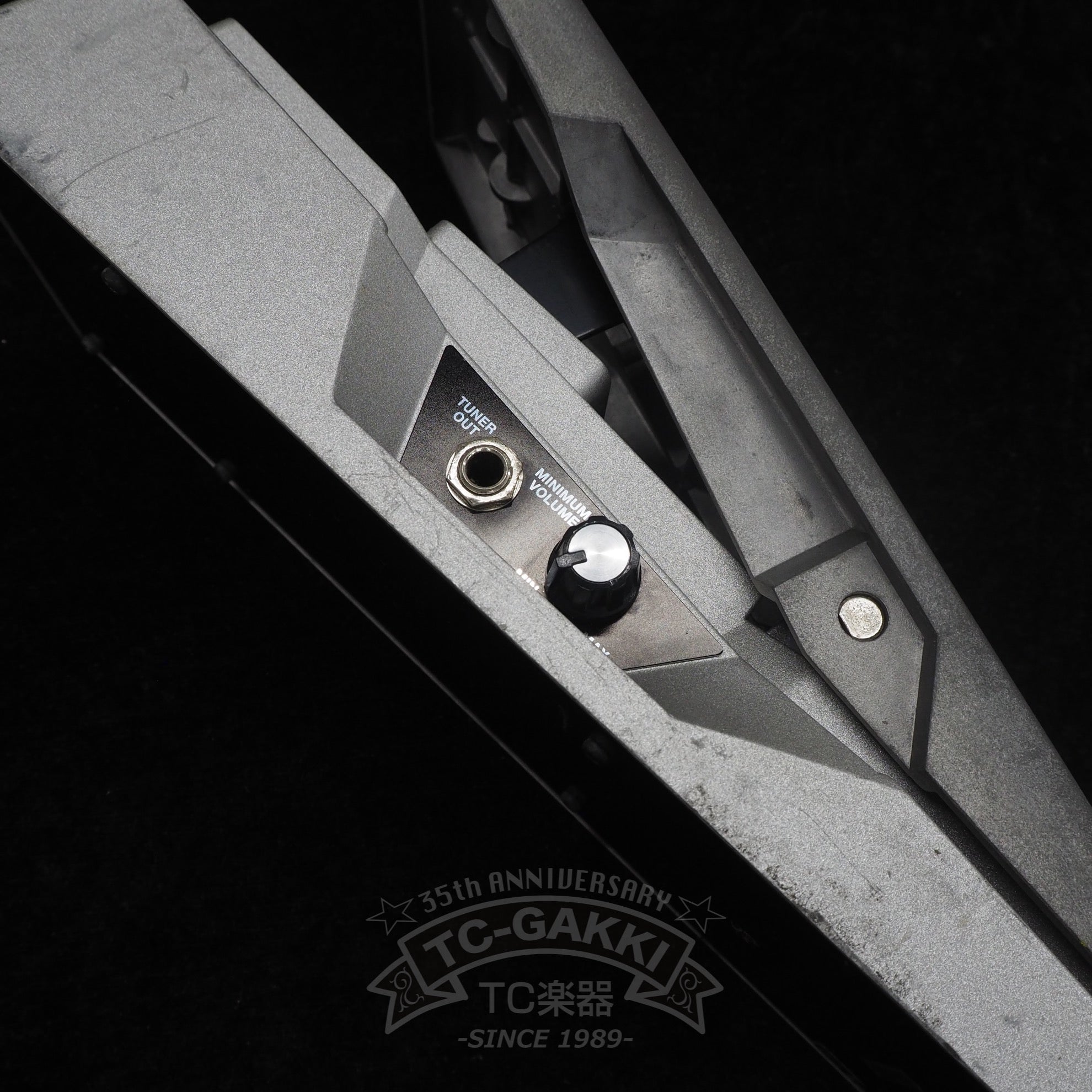 BOSS FV-500H FOOT VOLUME