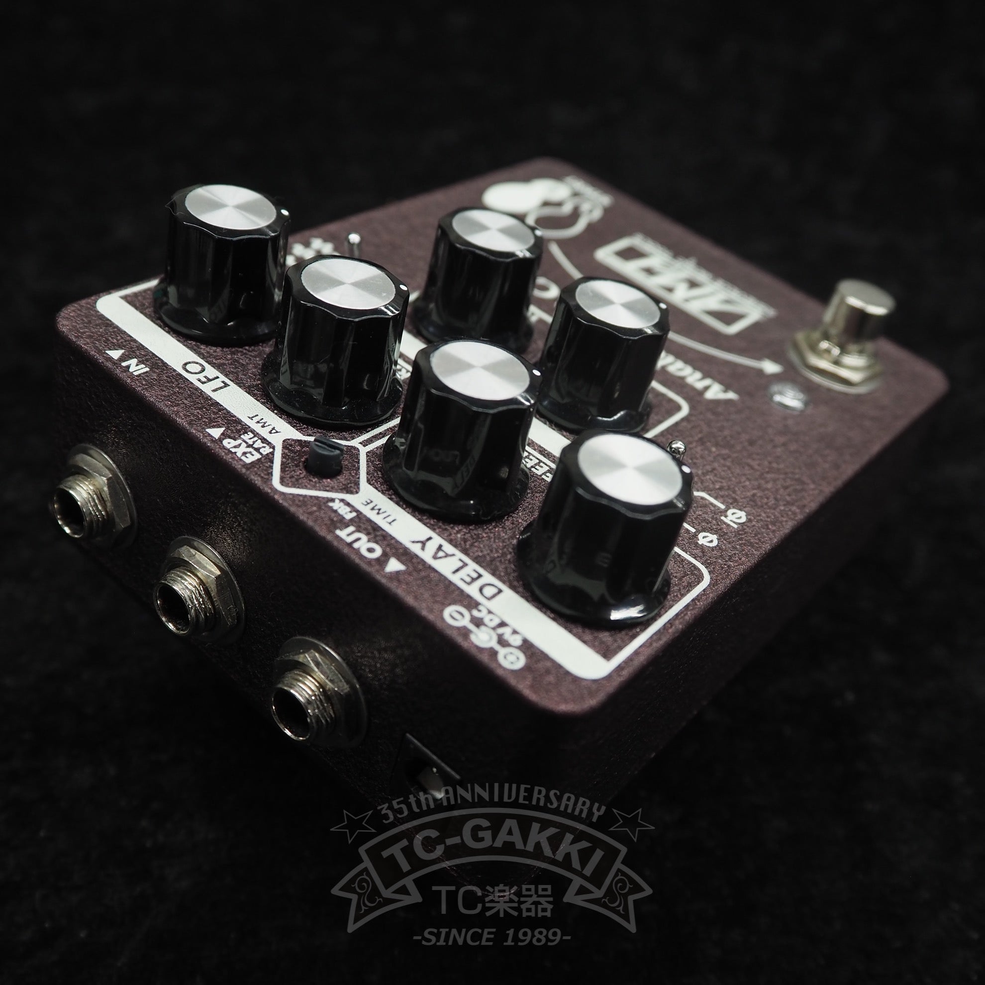 ASHEVILLE MUSIC TOOLS Analoger ACV-1 Chorus Vibrato
