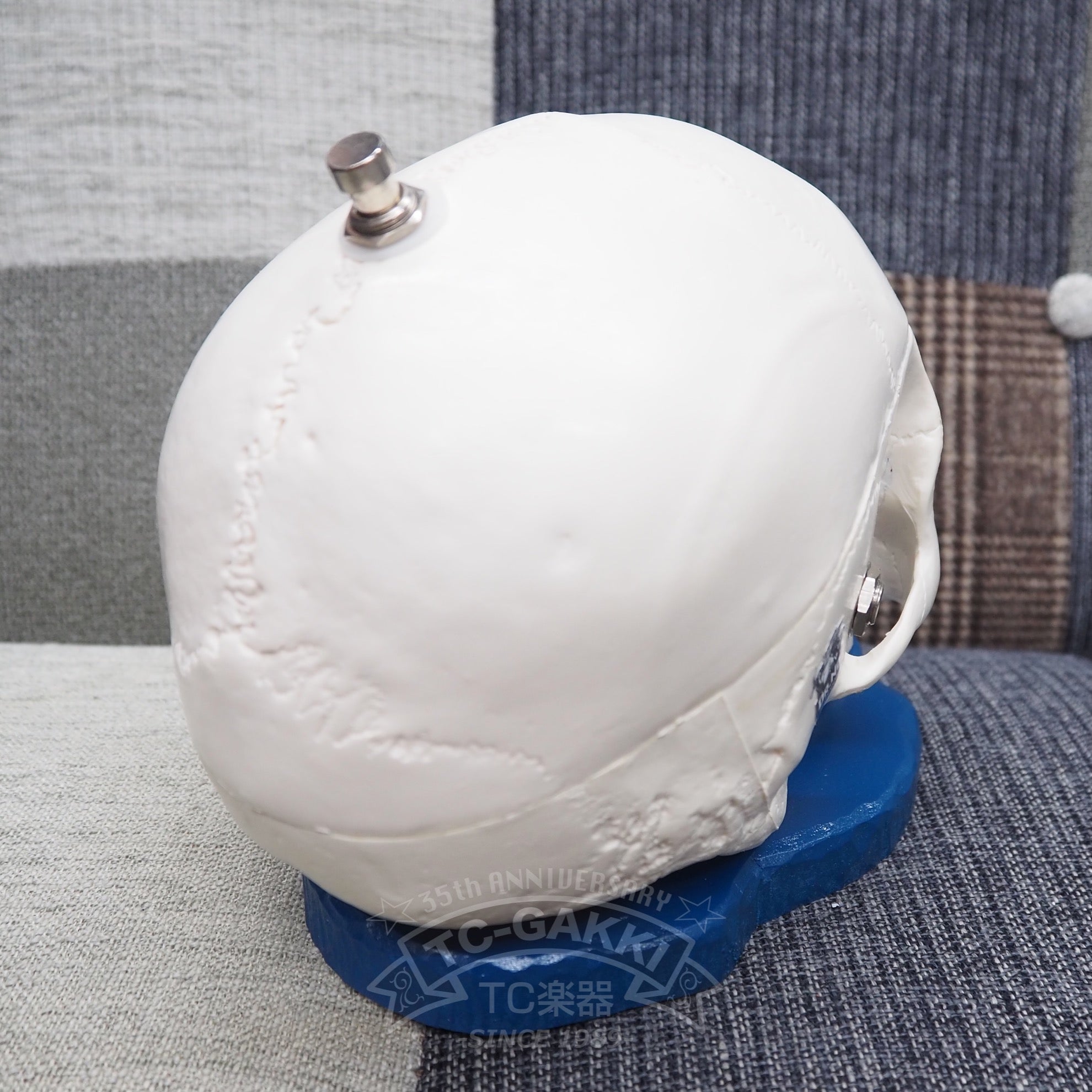 DR.NO effects Skull Fuzz “Original”