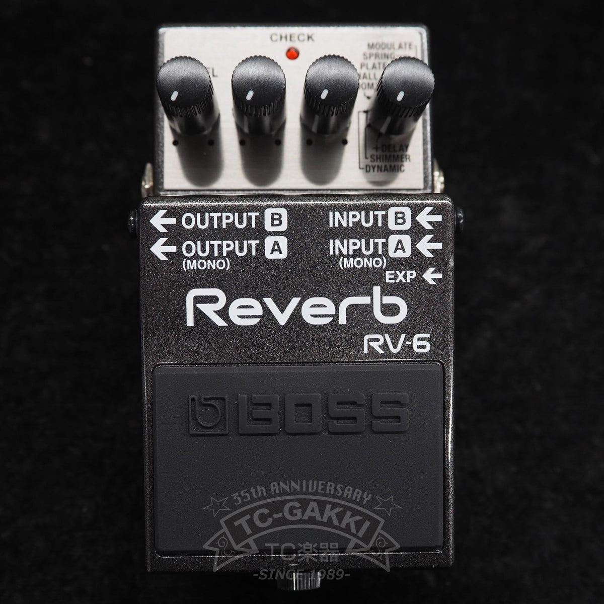 BOSS RV-6 Reverb