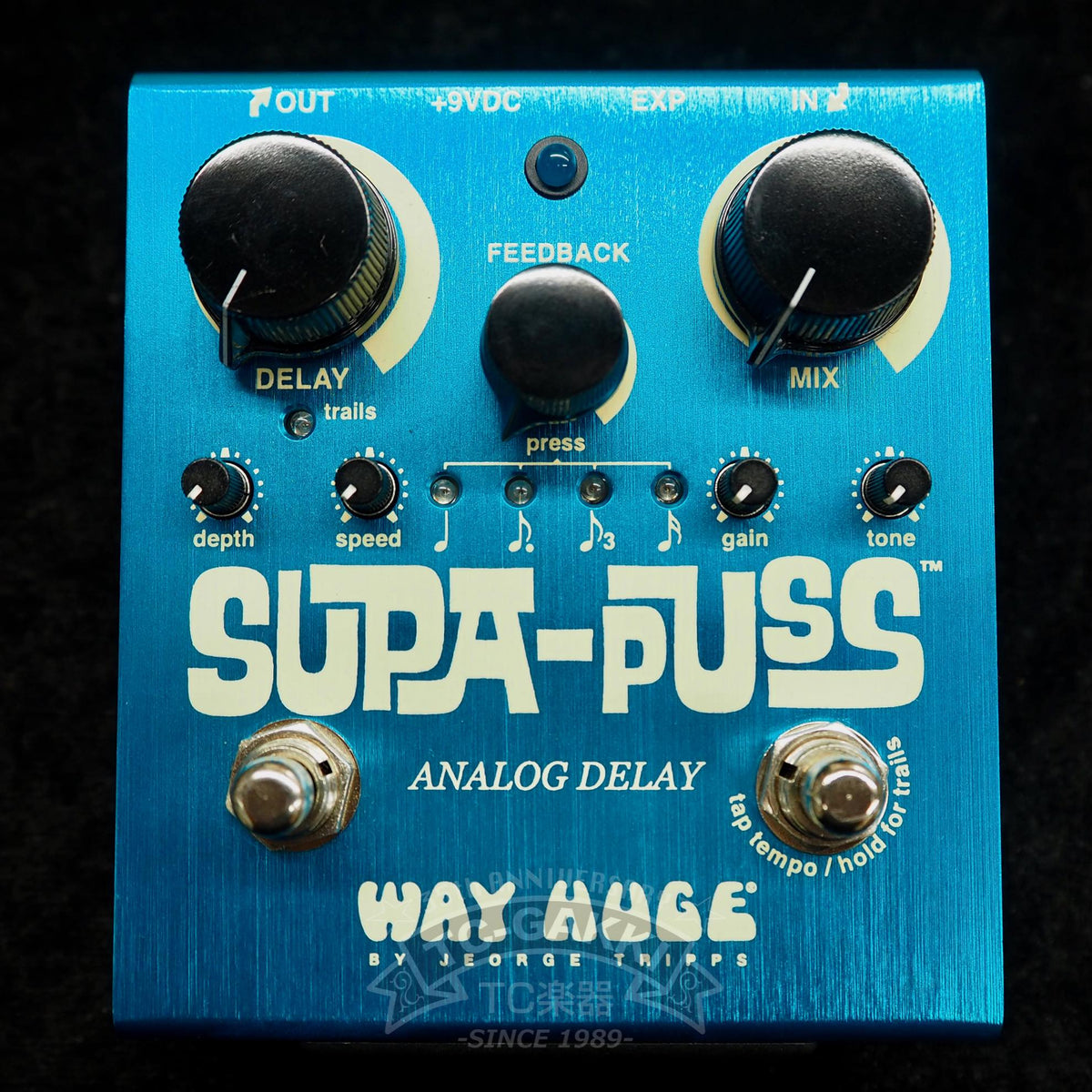WAY HUGE WHE-707 SUPA-PUSS ANALOG DELAY