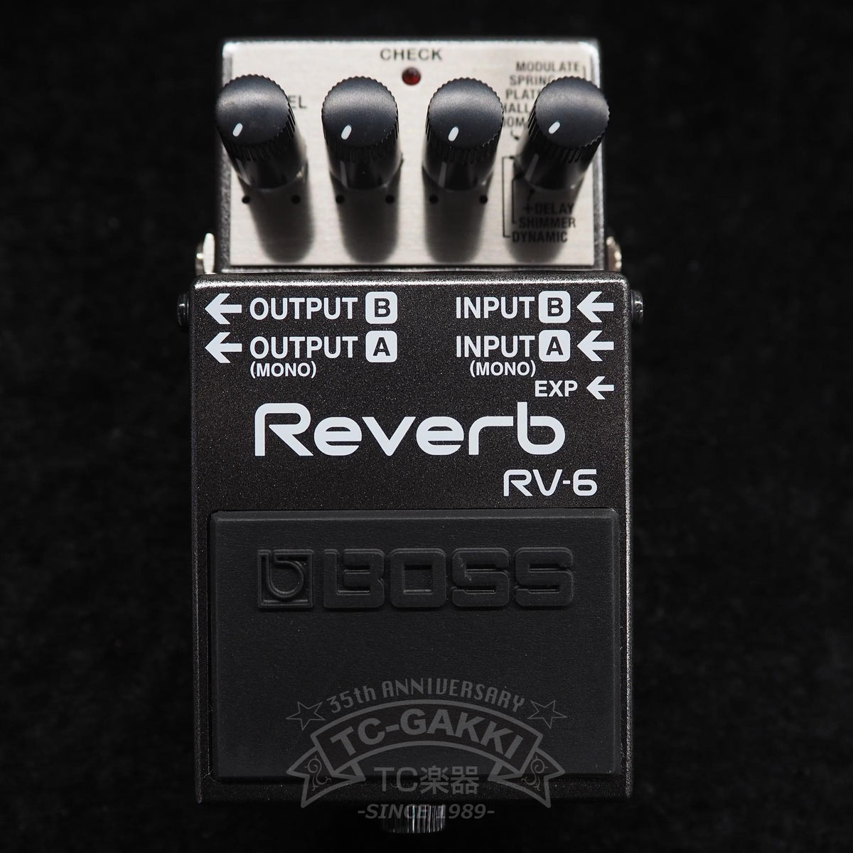 BOSS RV-6 Reverb