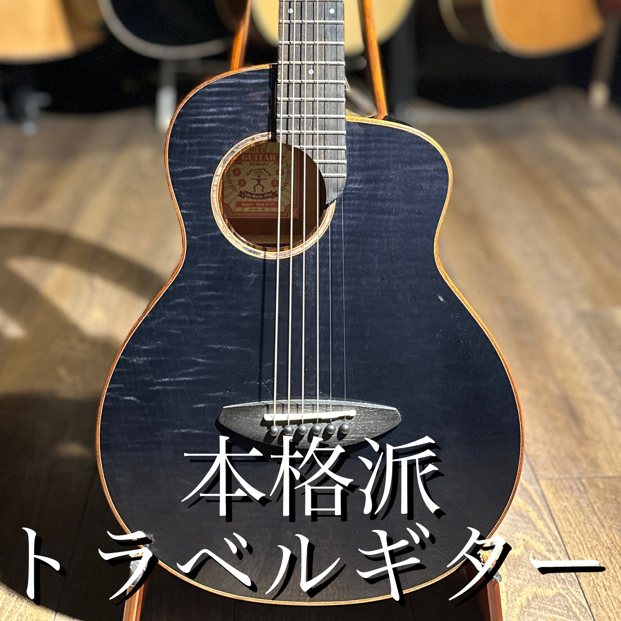 2022年製 aNN-M77【新品】