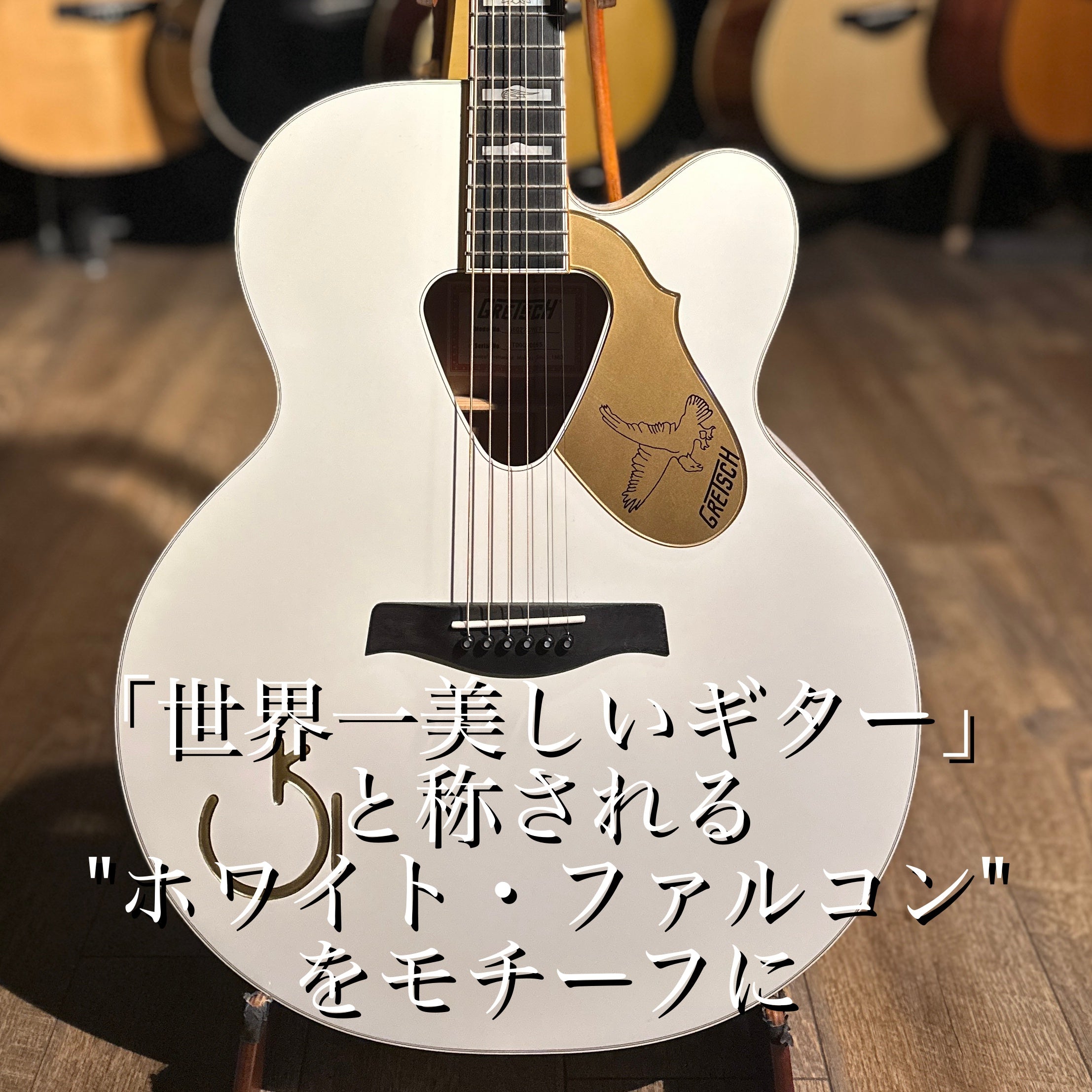2009年製 G6022CWFF Rancher Falcon Cutaway