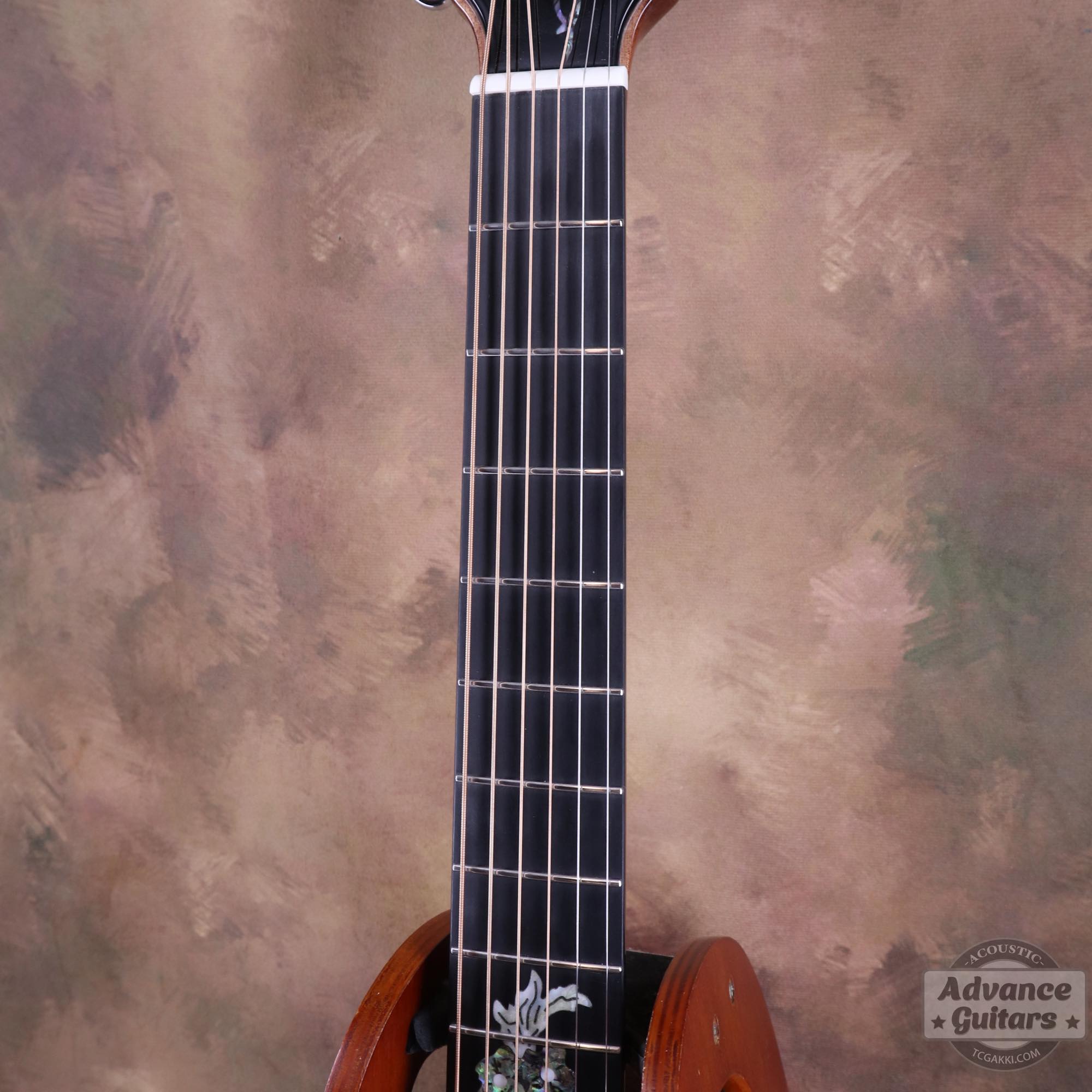 A18GAC2 - E - TC楽器 - TCGAKKI