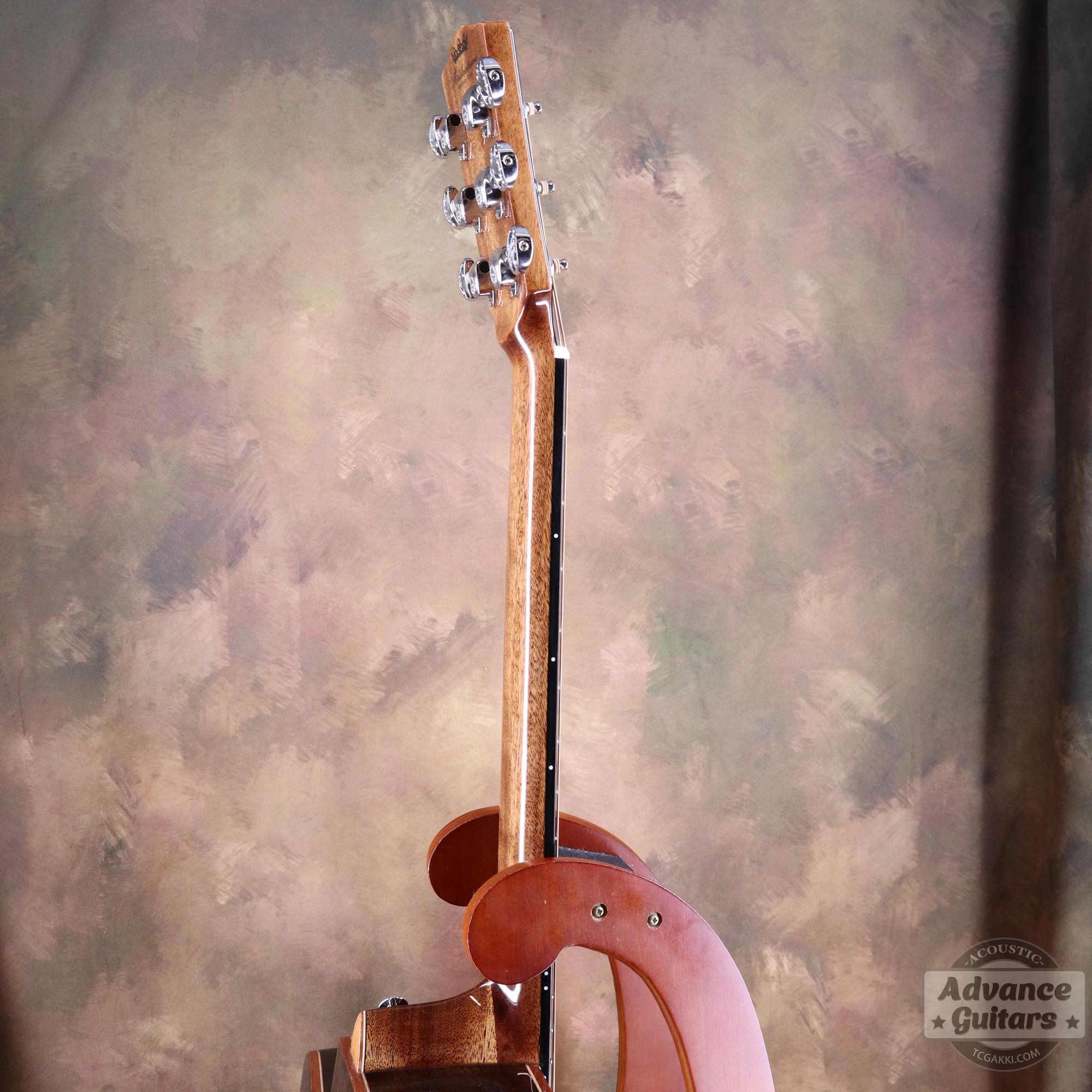 A18GAC2 - E - TC楽器 - TCGAKKI