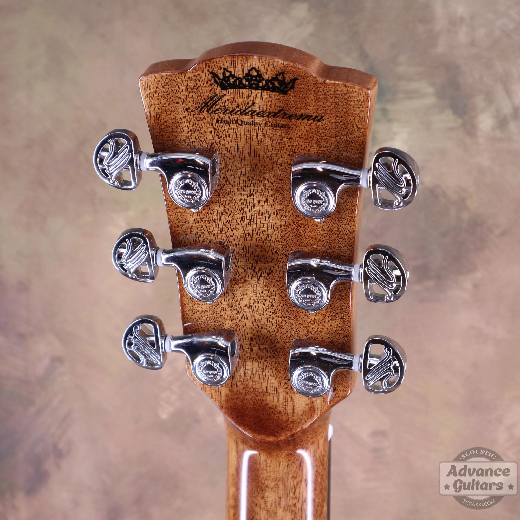 A18GAC2 - E - TC楽器 - TCGAKKI