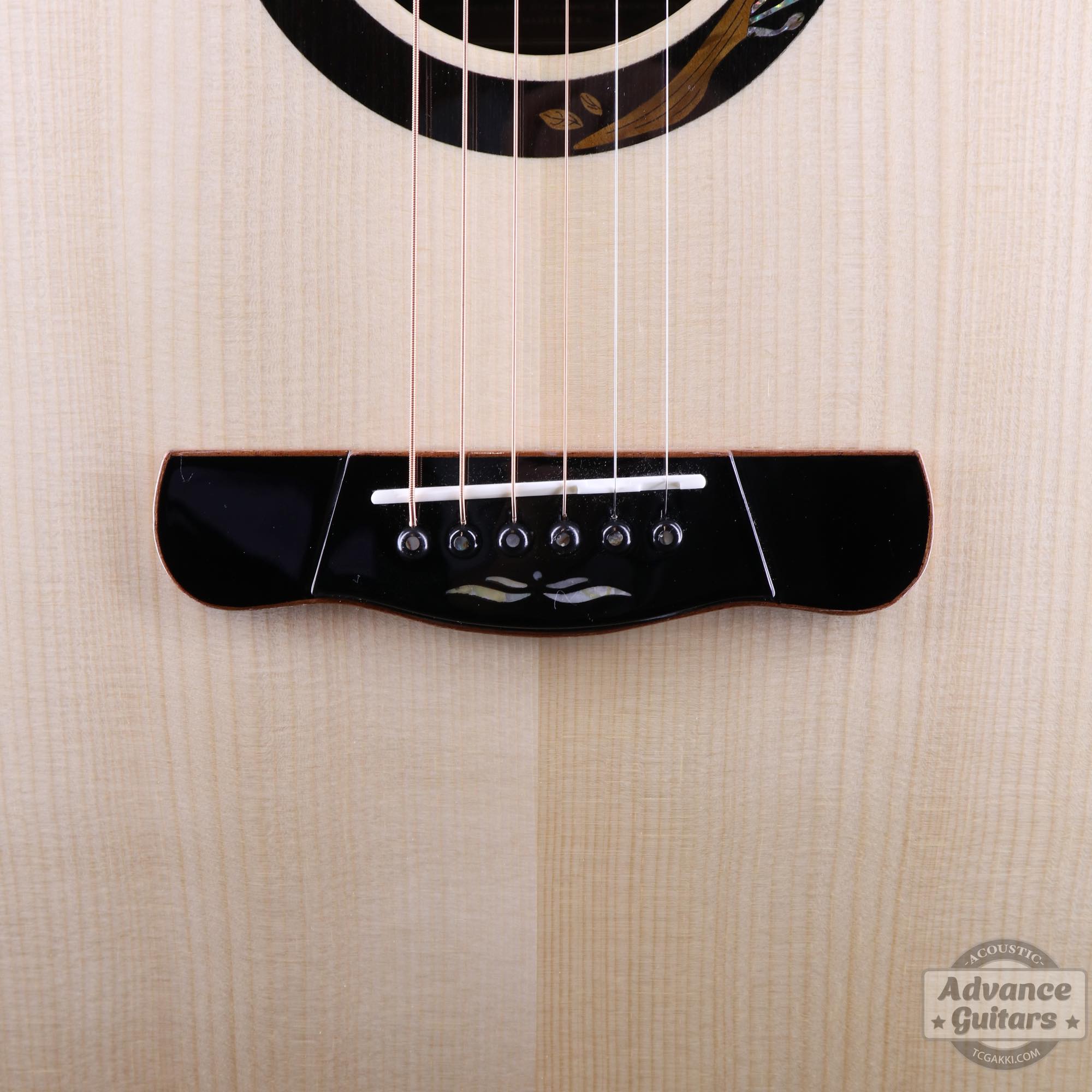 A18GAC2 - E - TC楽器 - TCGAKKI