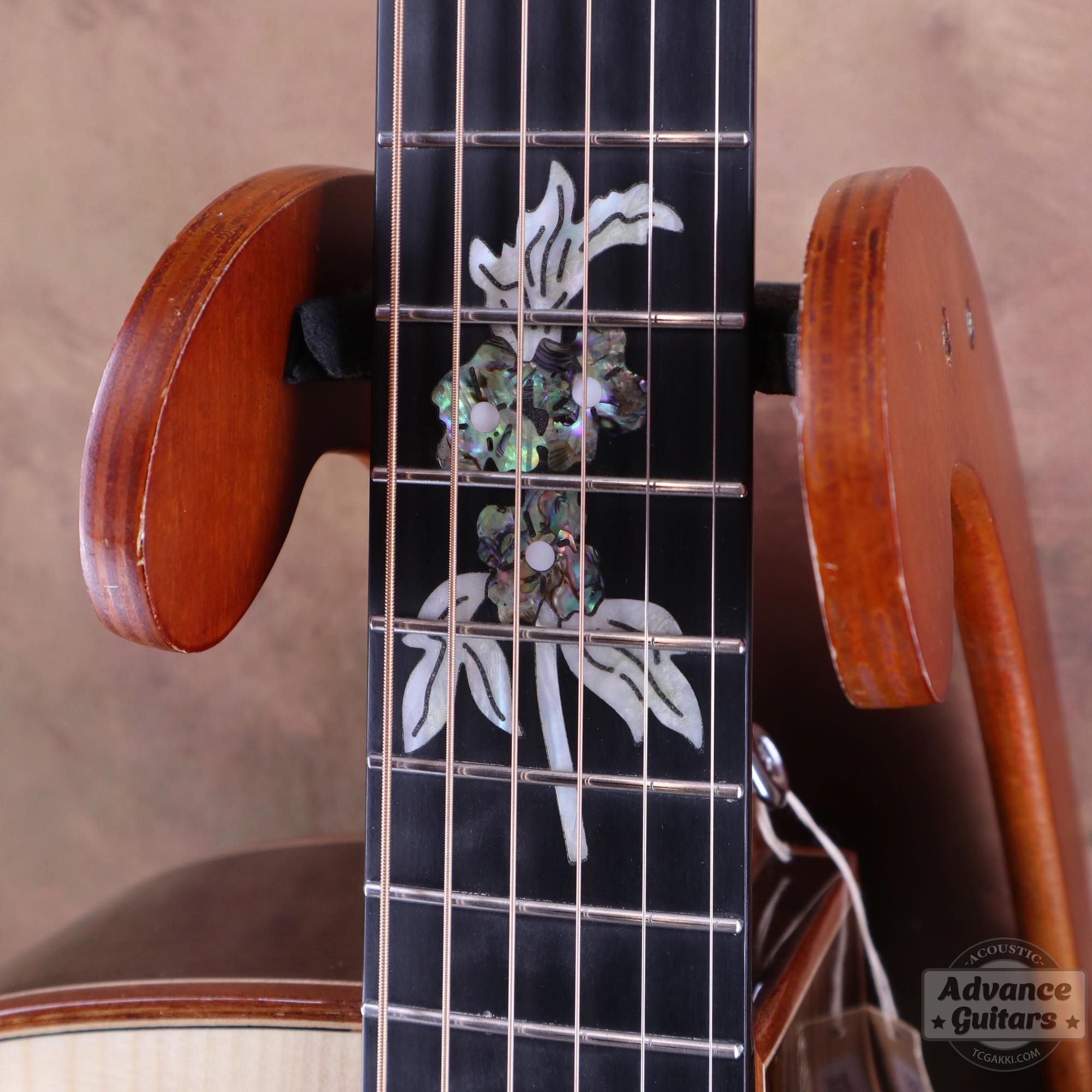 A18GAC2 - E - TC楽器 - TCGAKKI