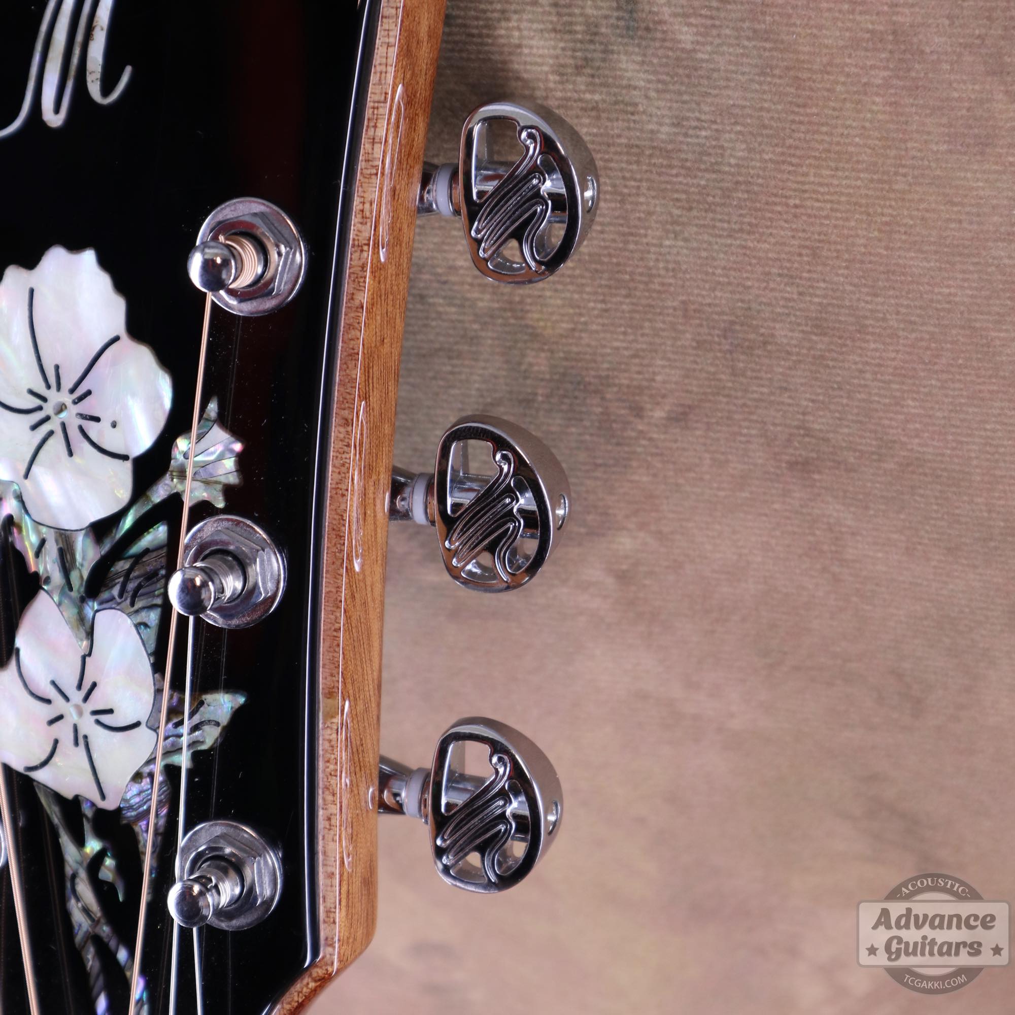 A18GAC2 - E - TC楽器 - TCGAKKI