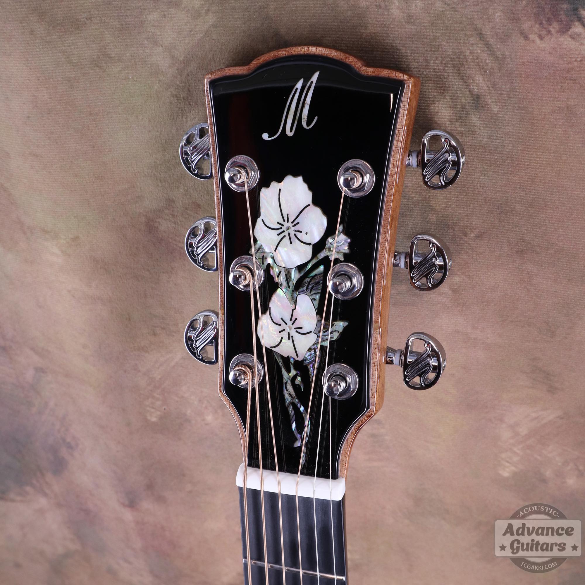 A18GAC2 - E - TC楽器 - TCGAKKI