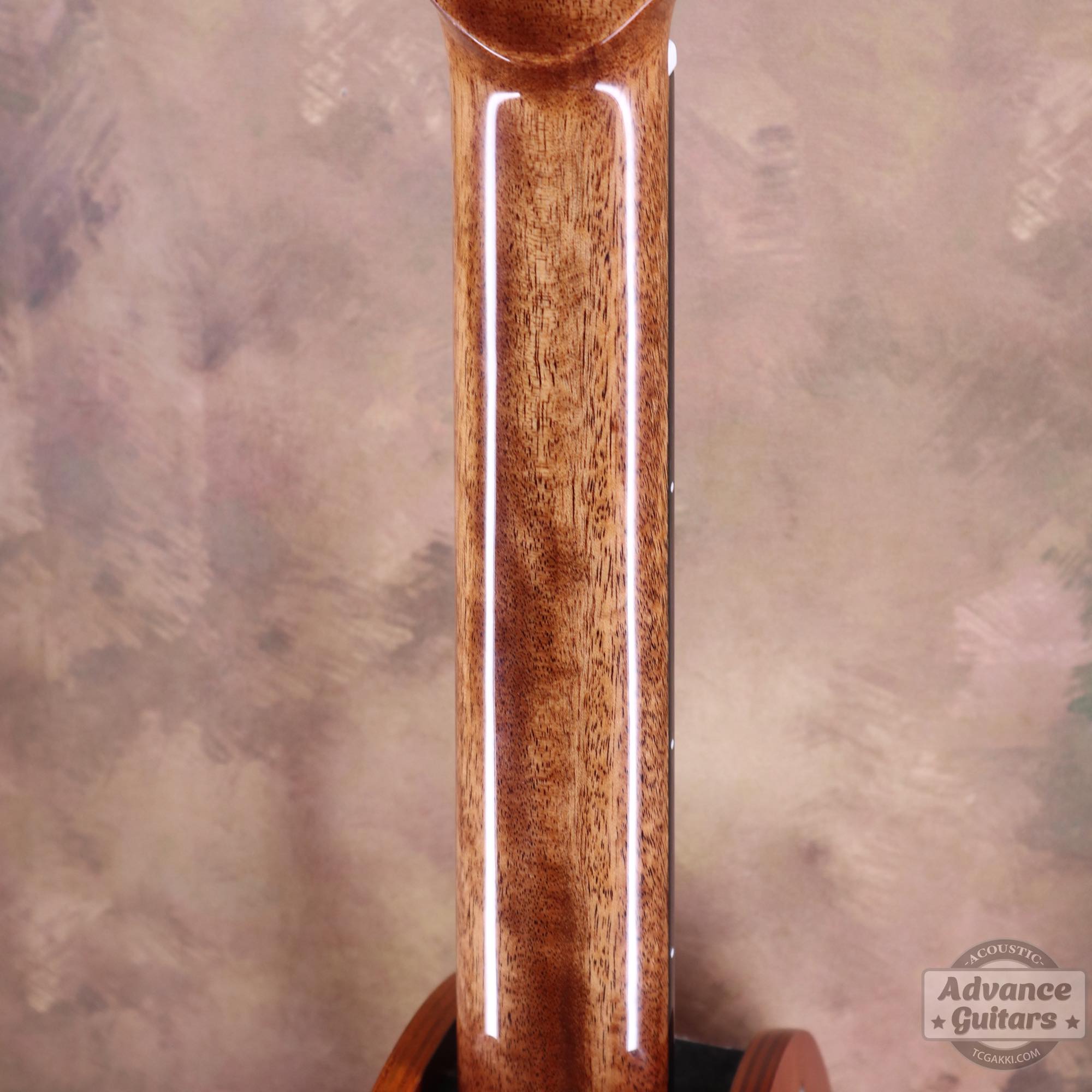 A18GAC2 - E - TC楽器 - TCGAKKI