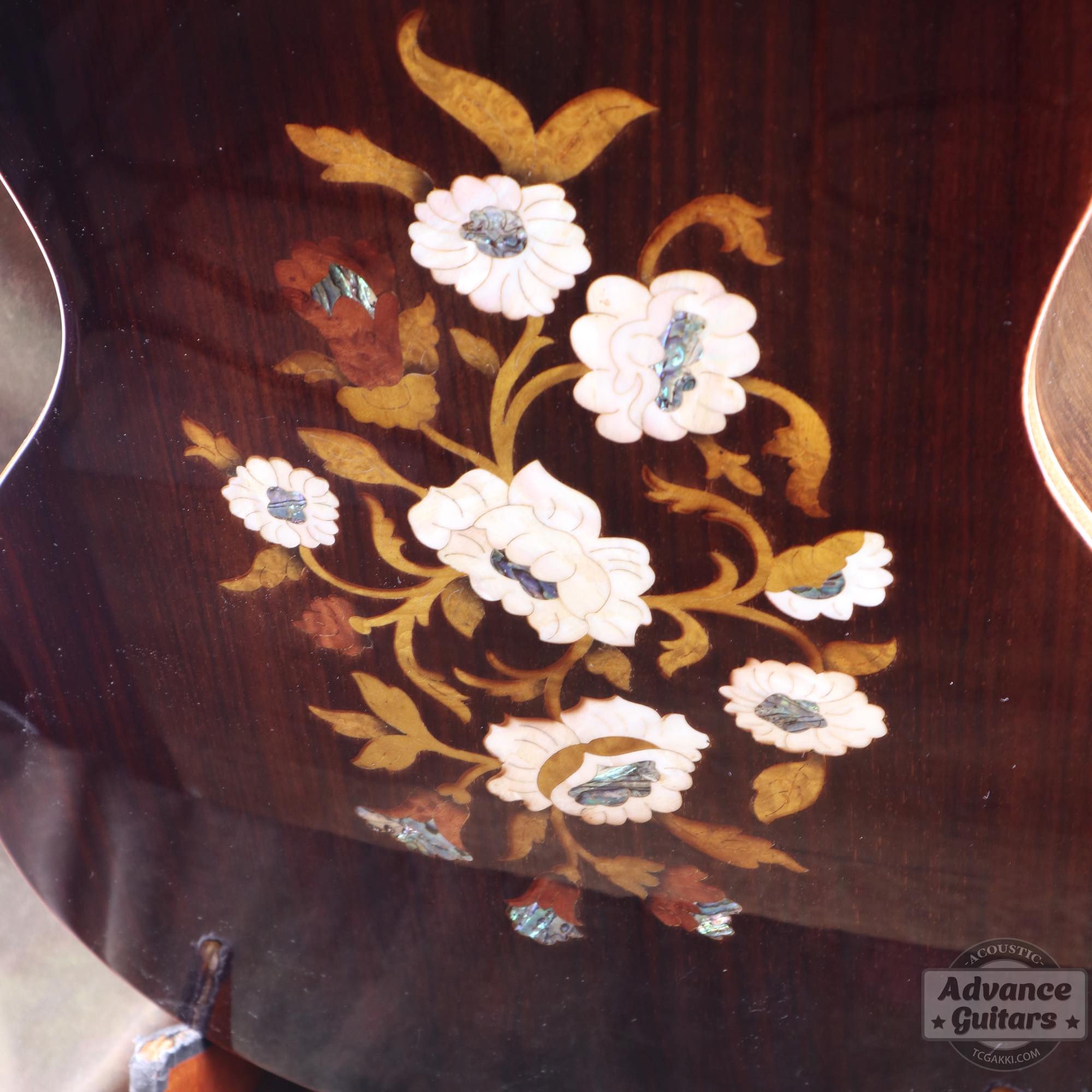 A18GAC2 - EQ - TC楽器 - TCGAKKI