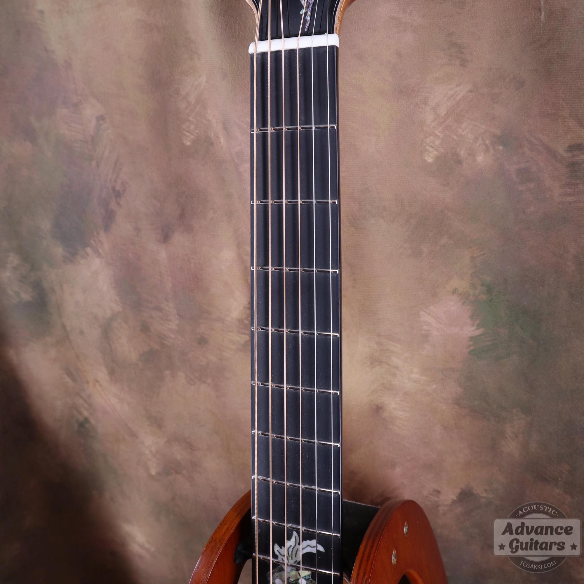 A18GAC2 - EQ - TC楽器 - TCGAKKI