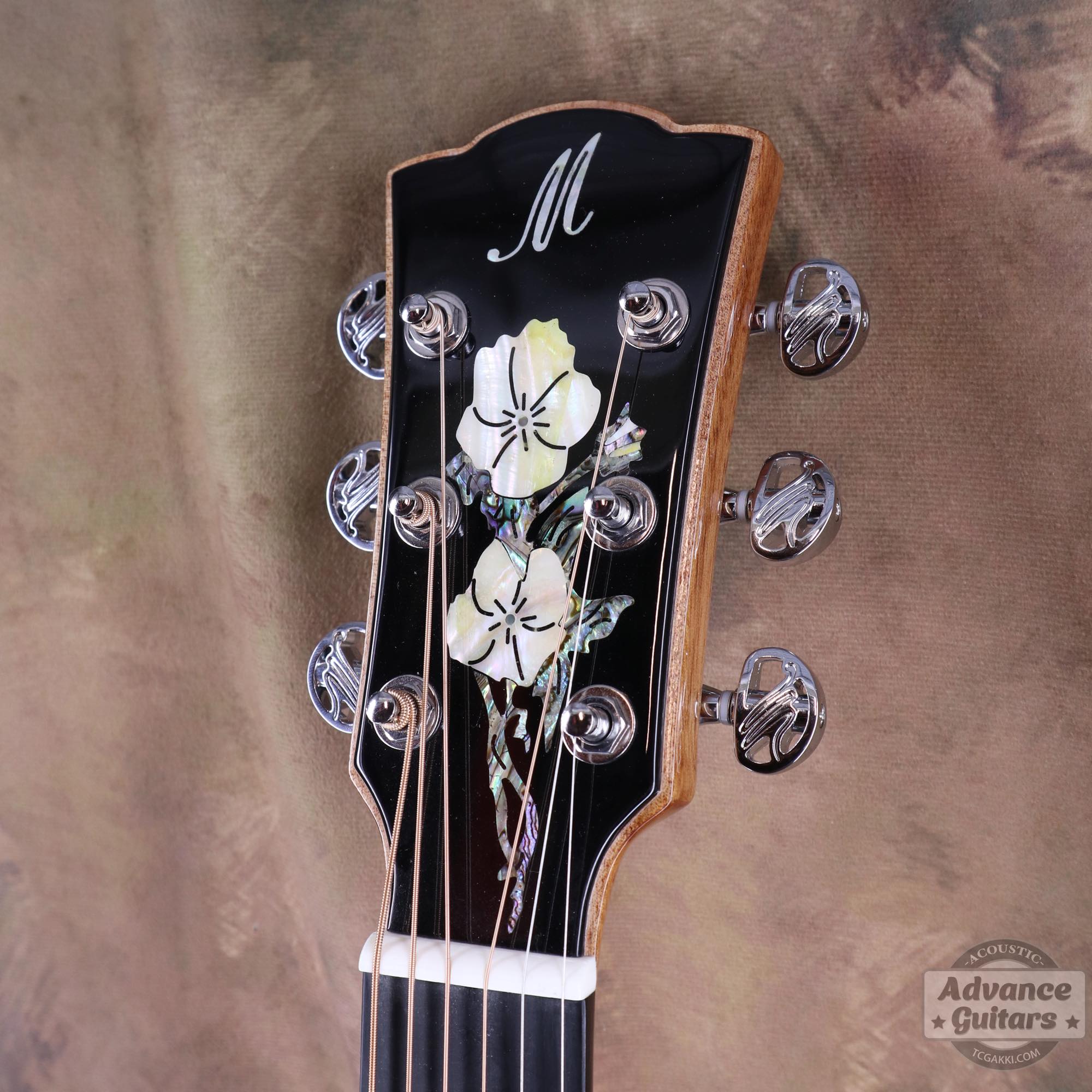 A18GAC2 - EQ - TC楽器 - TCGAKKI