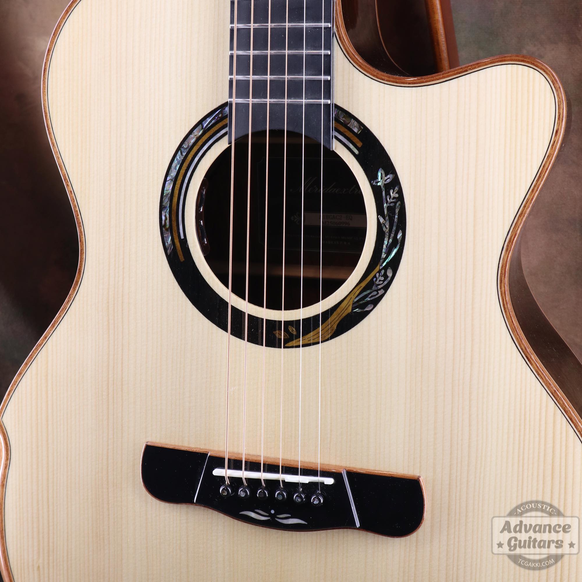 A18GAC2 - EQ - TC楽器 - TCGAKKI