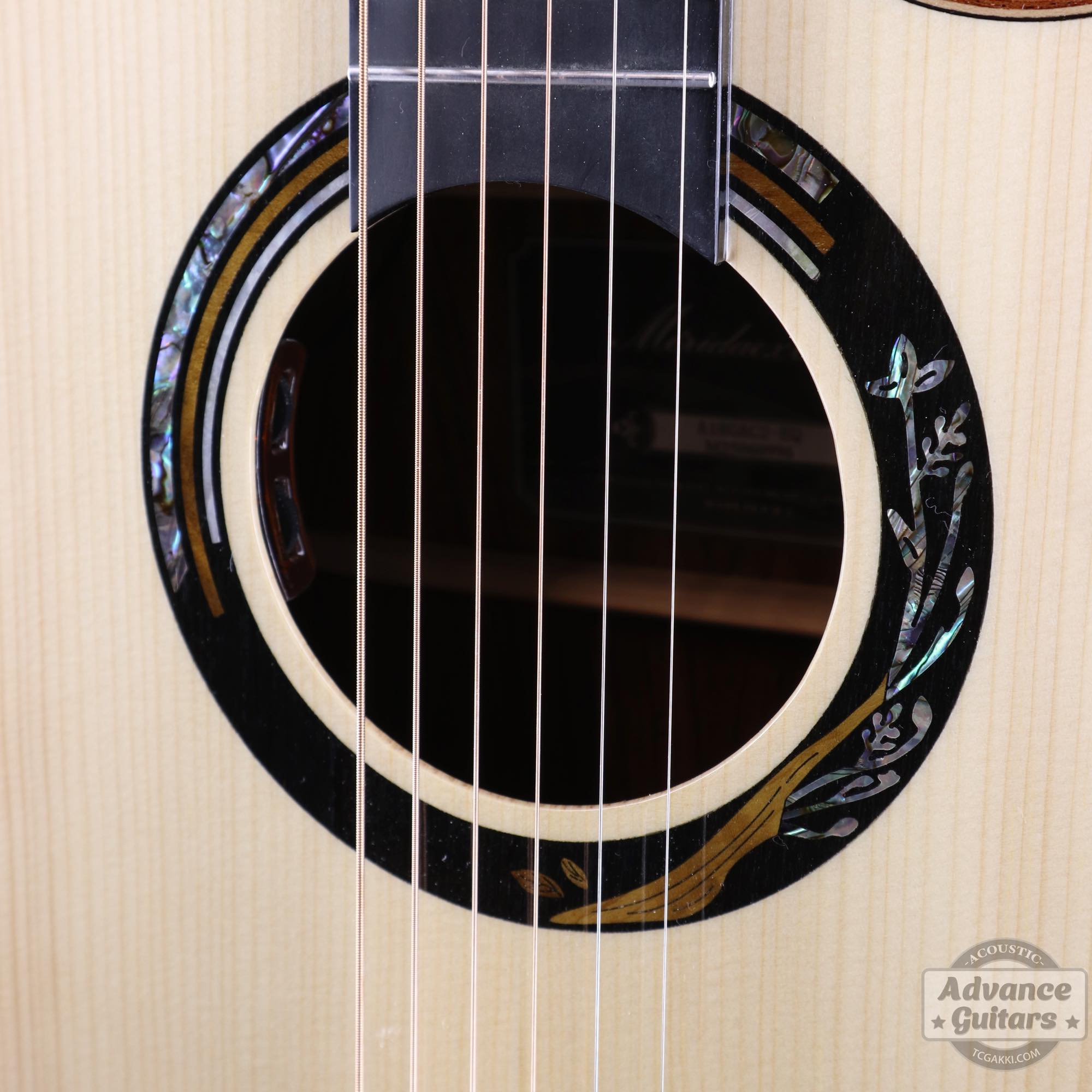 A18GAC2 - EQ - TC楽器 - TCGAKKI