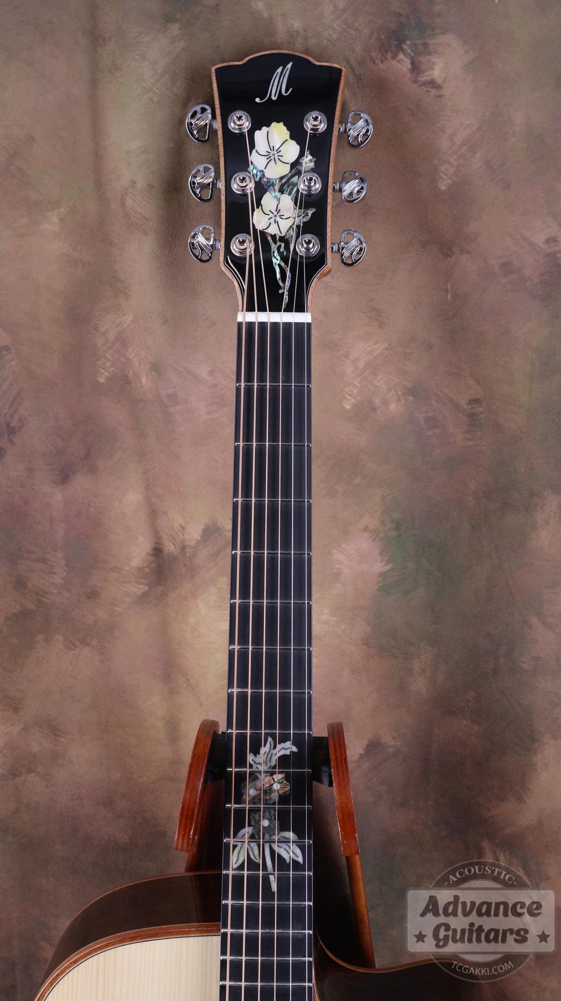 A18GAC2 - EQ - TC楽器 - TCGAKKI