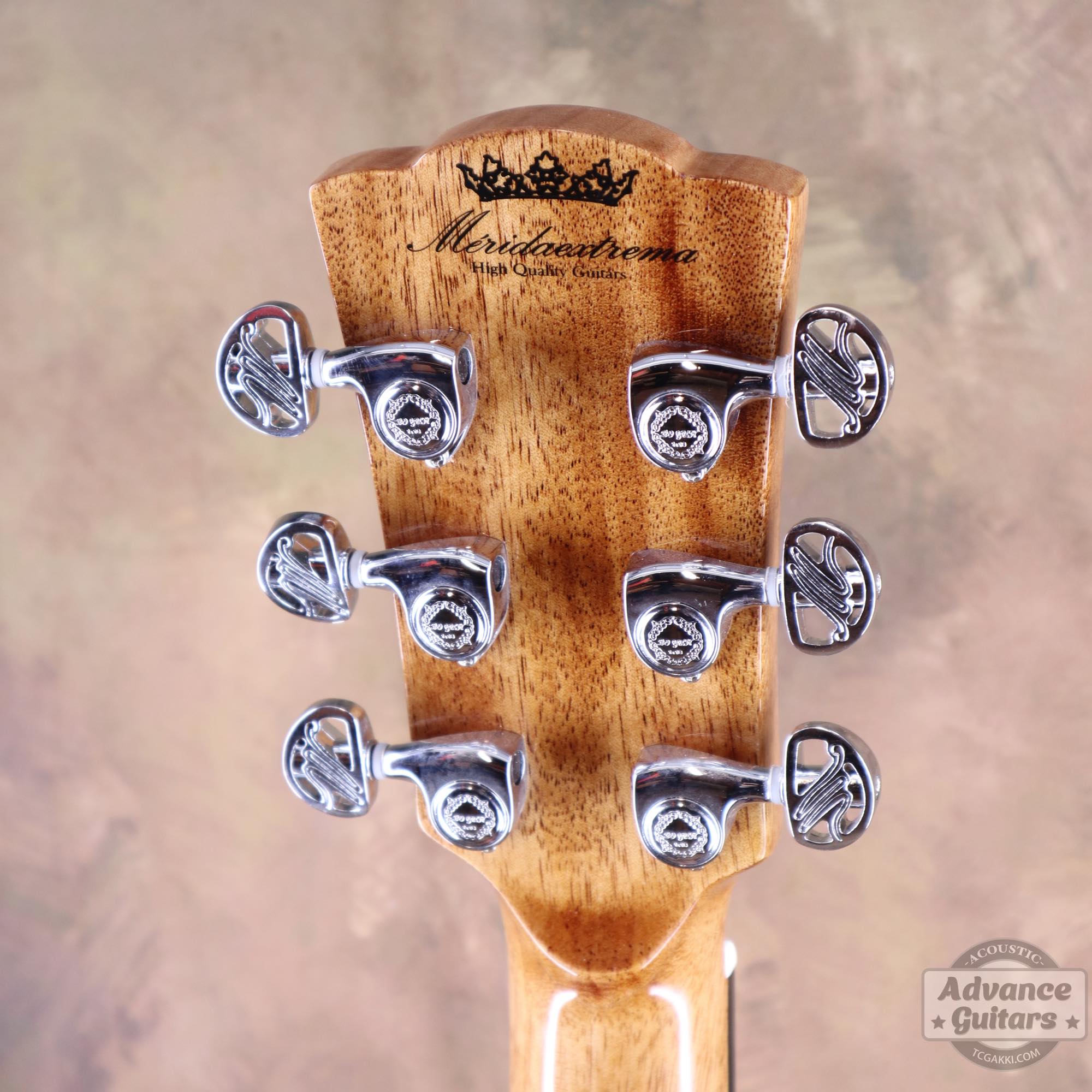 A18GAC2 - EQ - TC楽器 - TCGAKKI