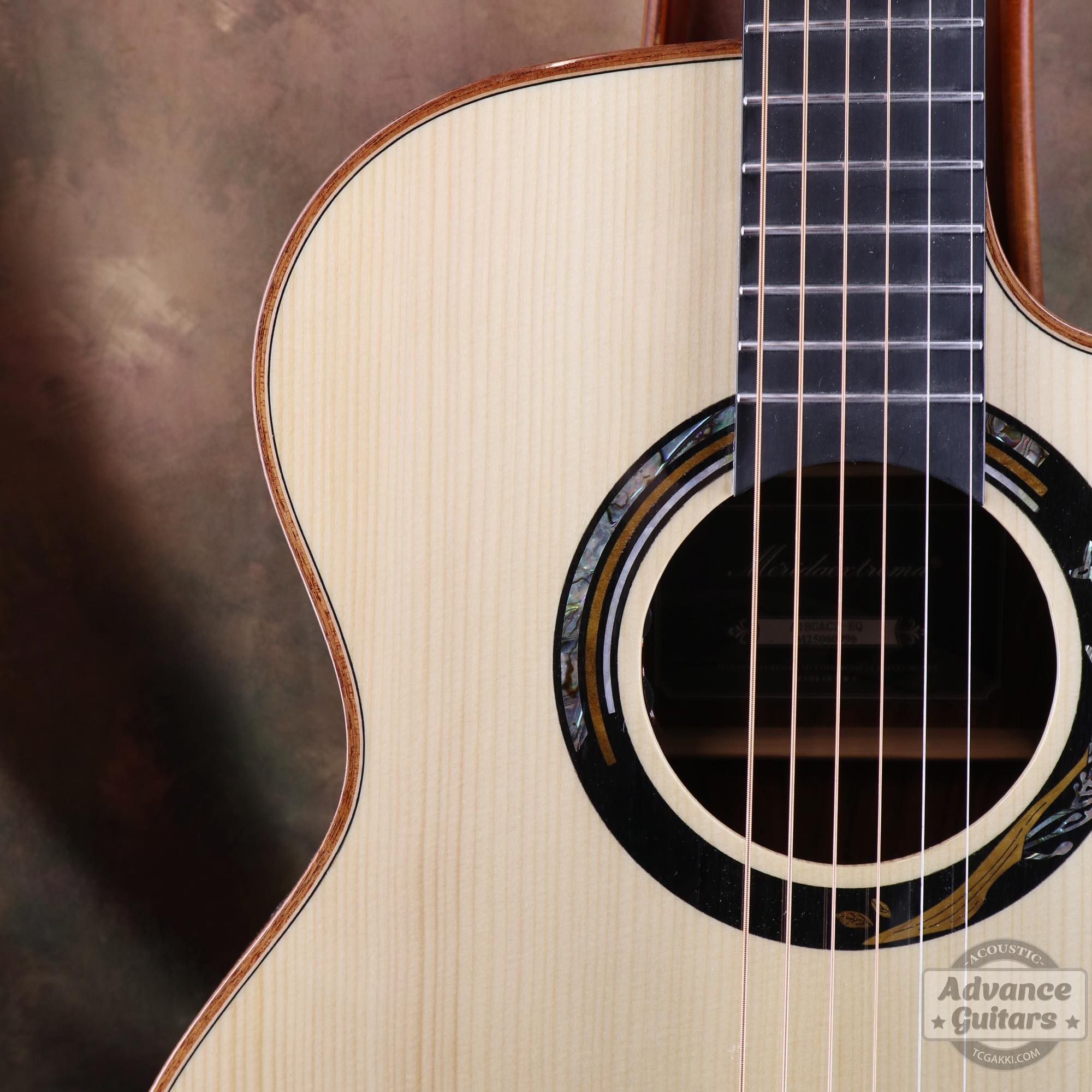 A18GAC2 - EQ - TC楽器 - TCGAKKI